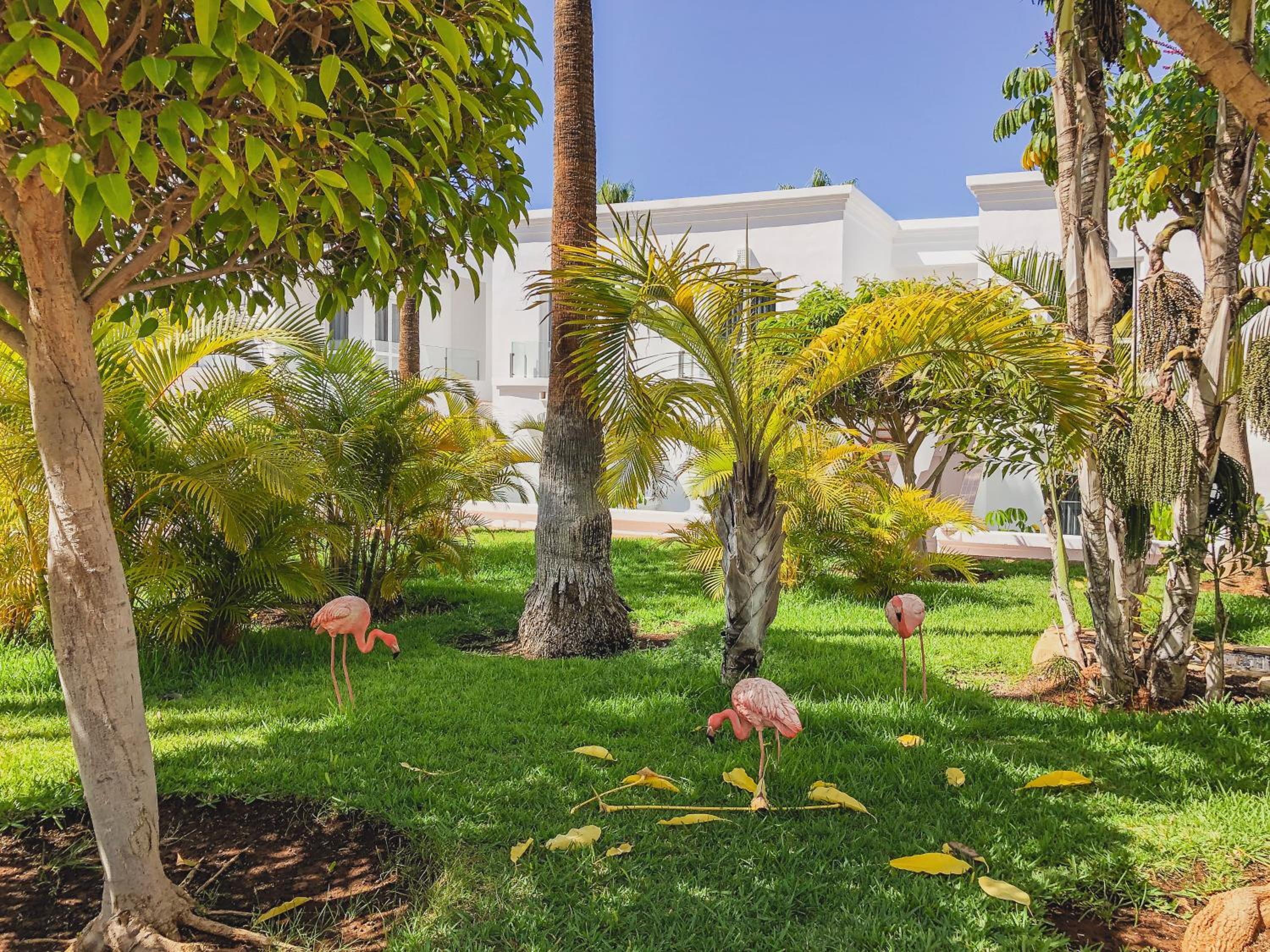 Adeje Vacations - Flamingo Beach Mate - Property Image 15