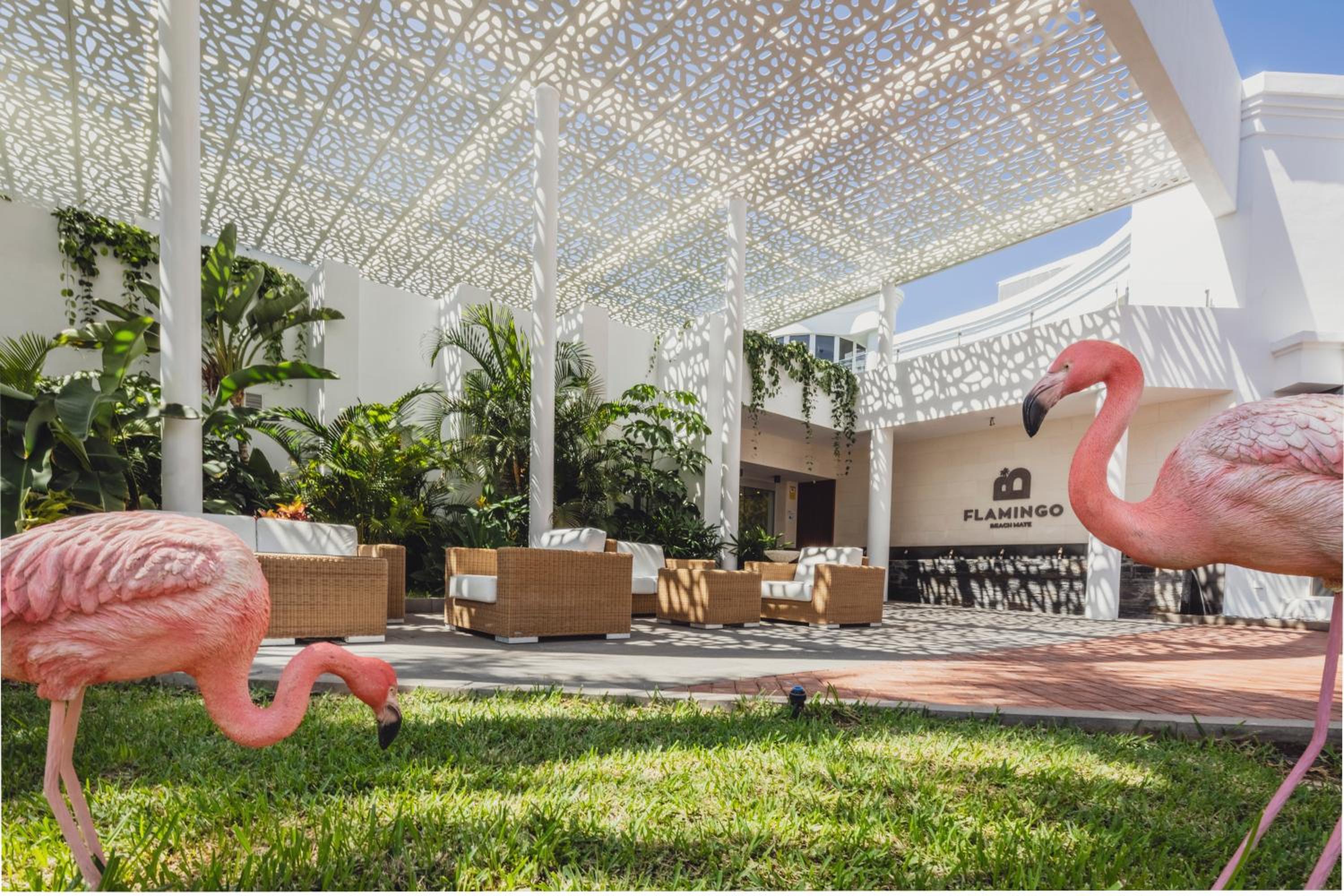 Adeje Vacations - Flamingo Beach Mate - Property Image 80