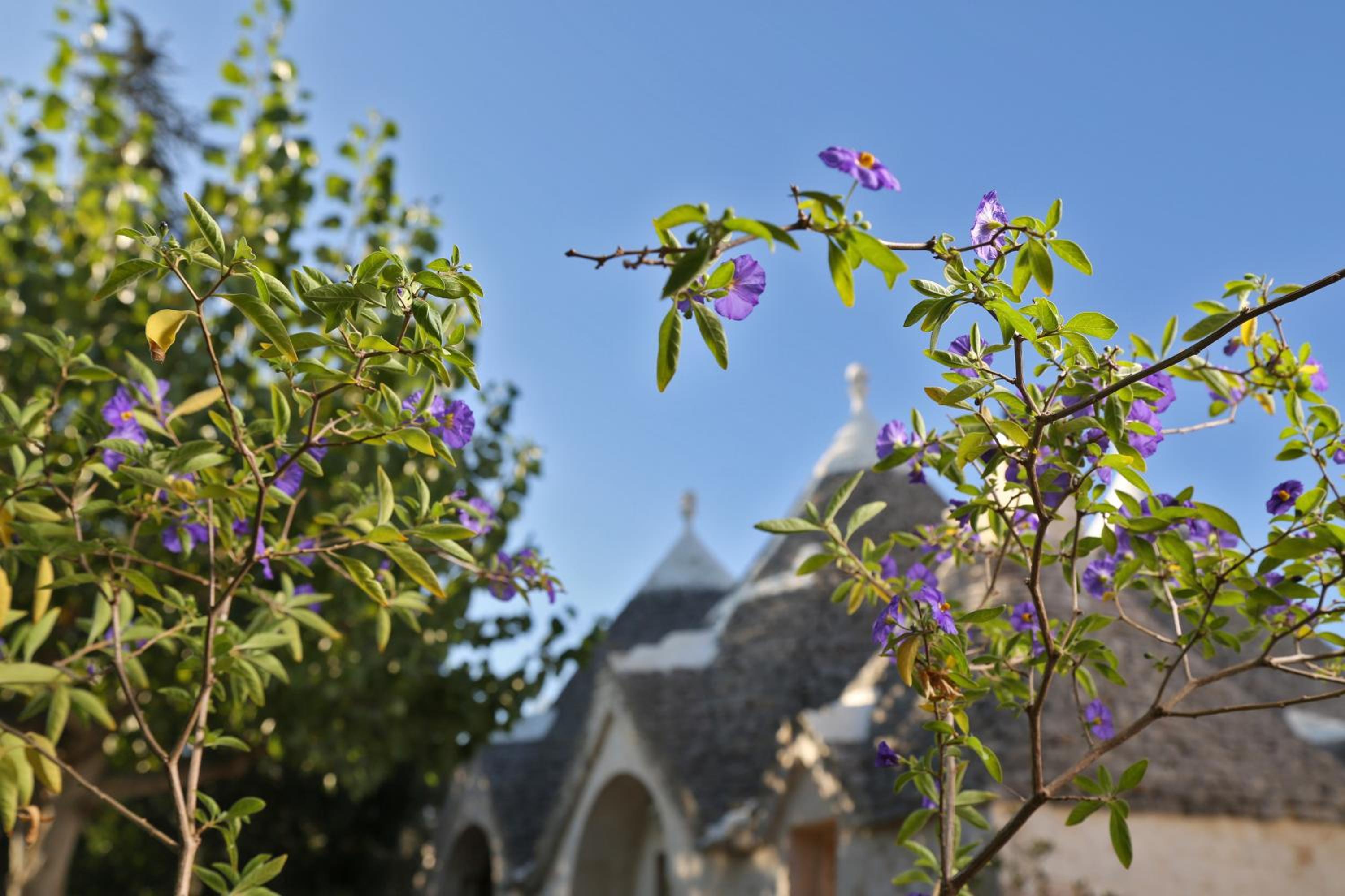 Trulli and Nature