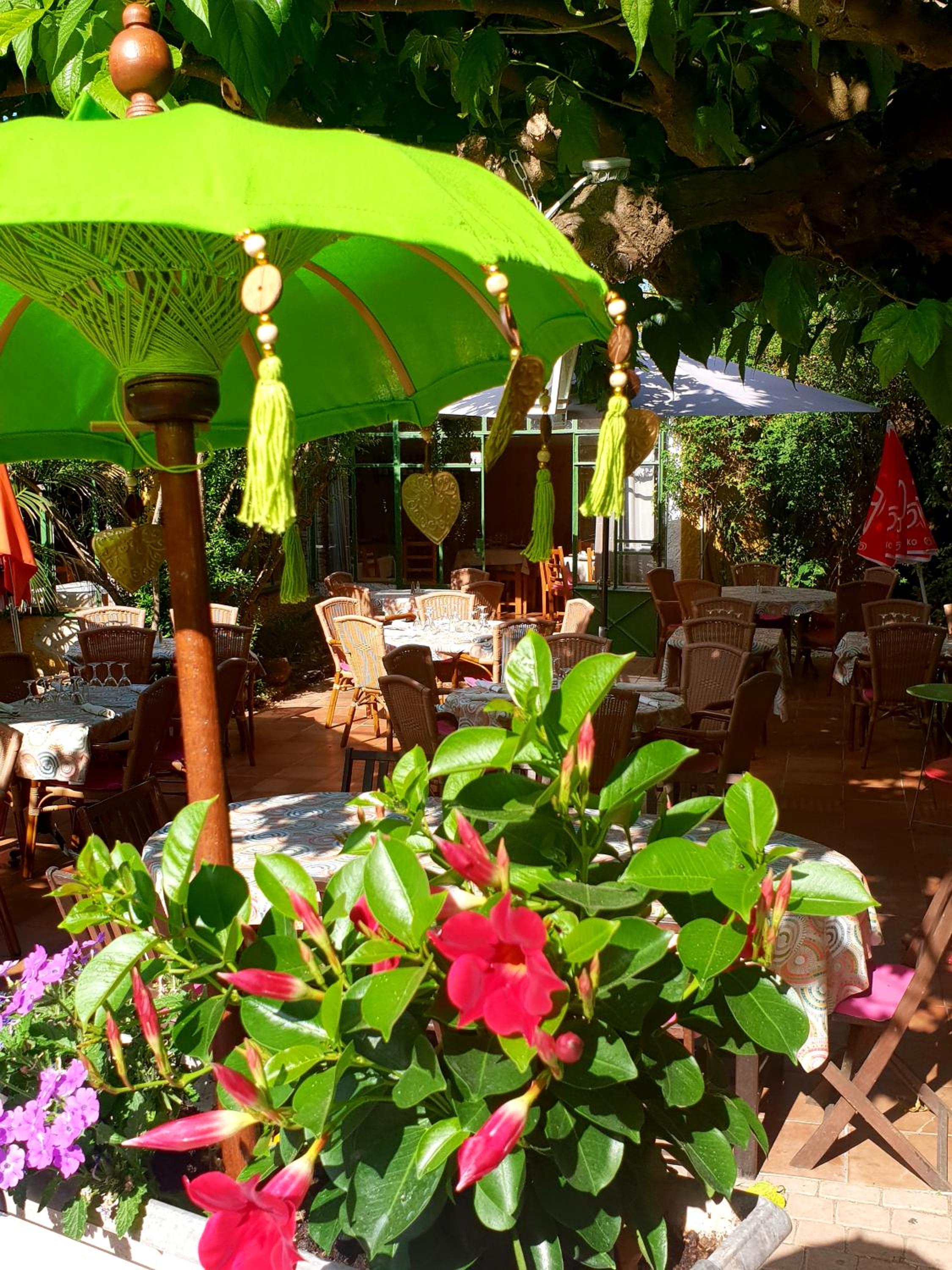 garden