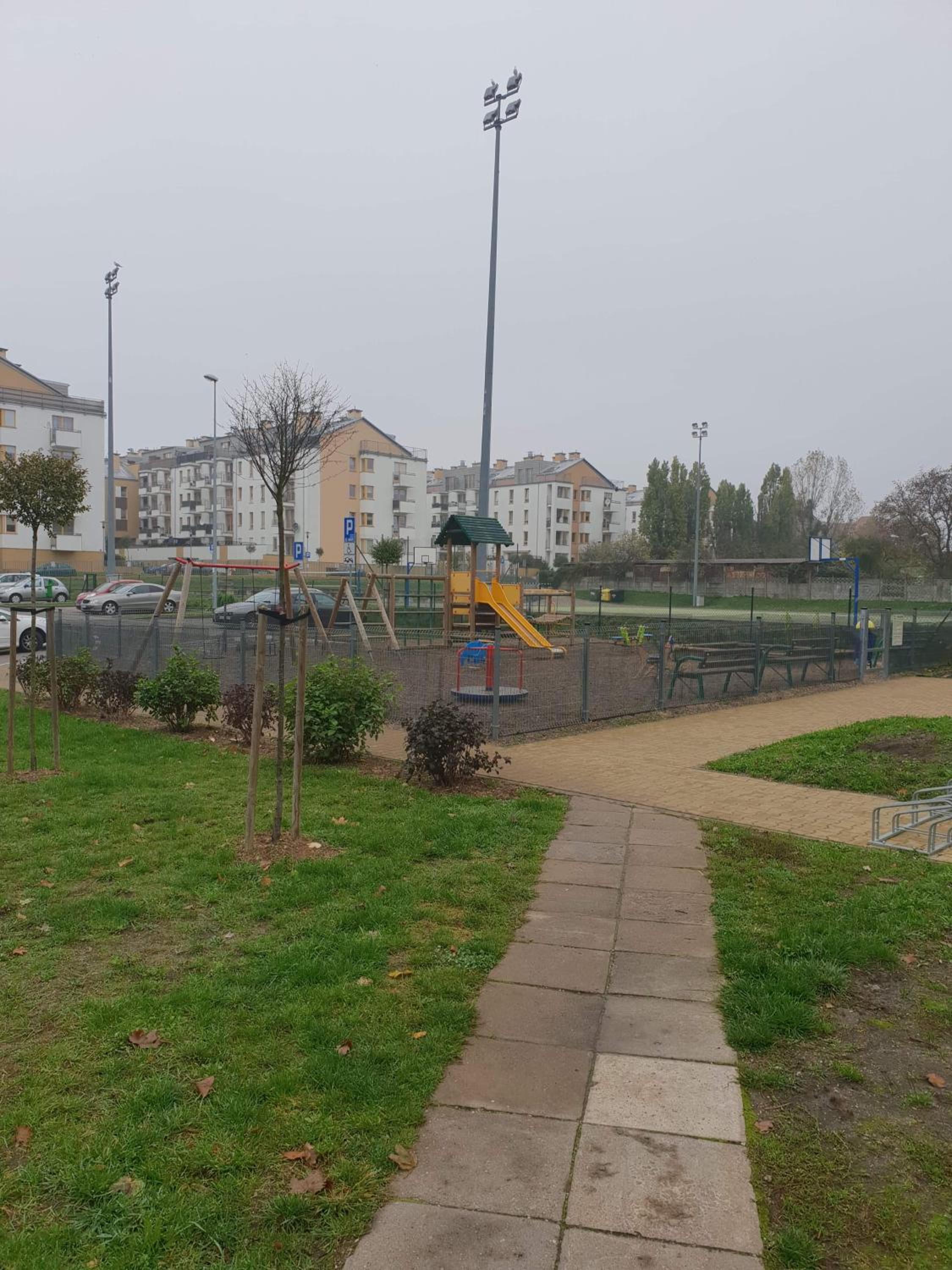 Photo 17