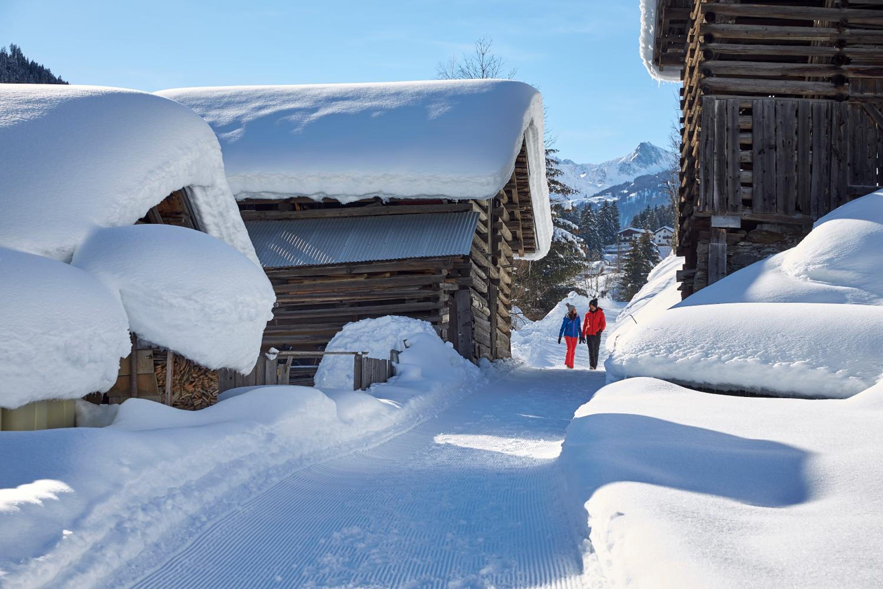 Mountain Living Ski-in & Ski out Silvretta Sommer Card Including