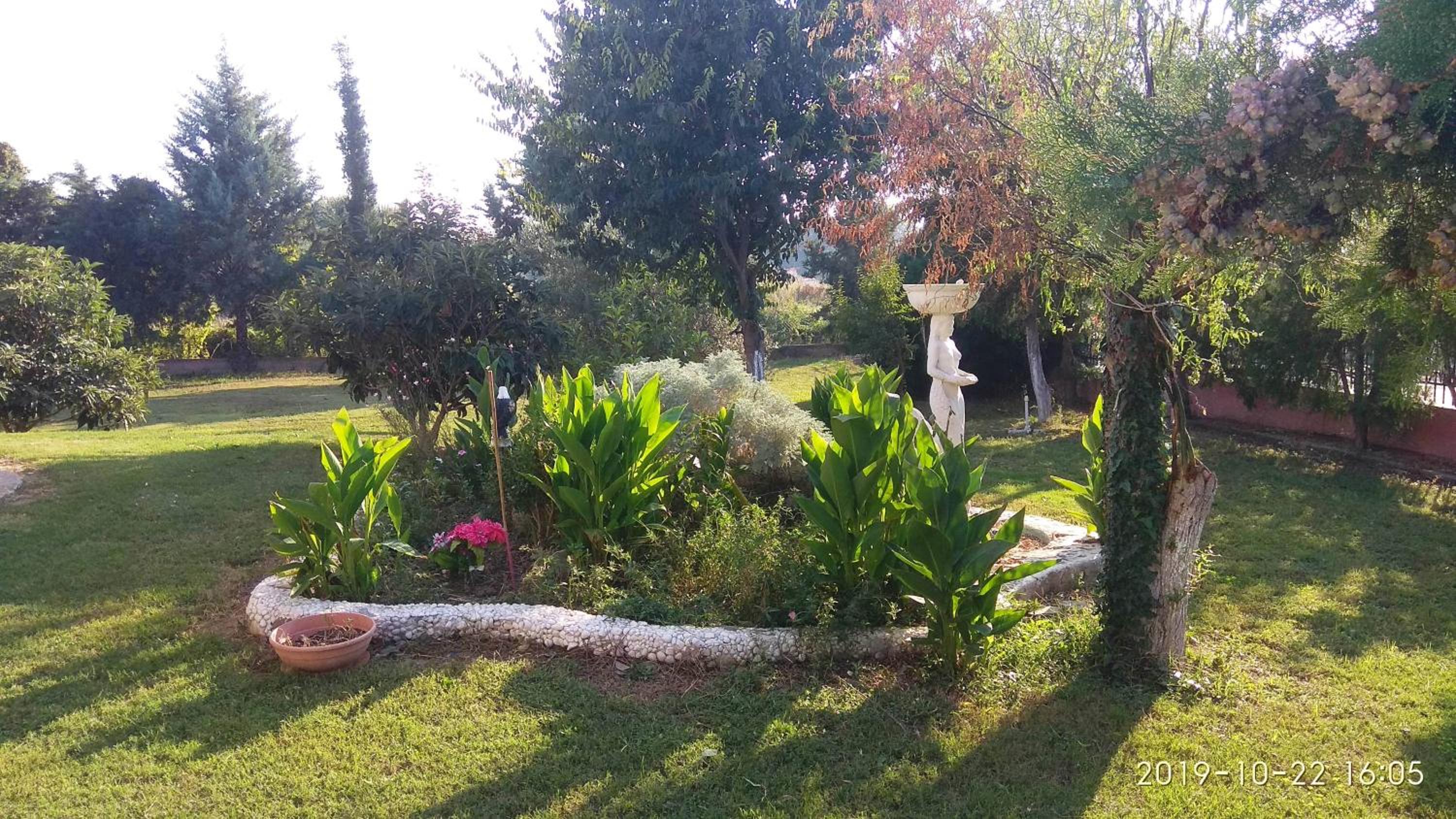 Villa Elly