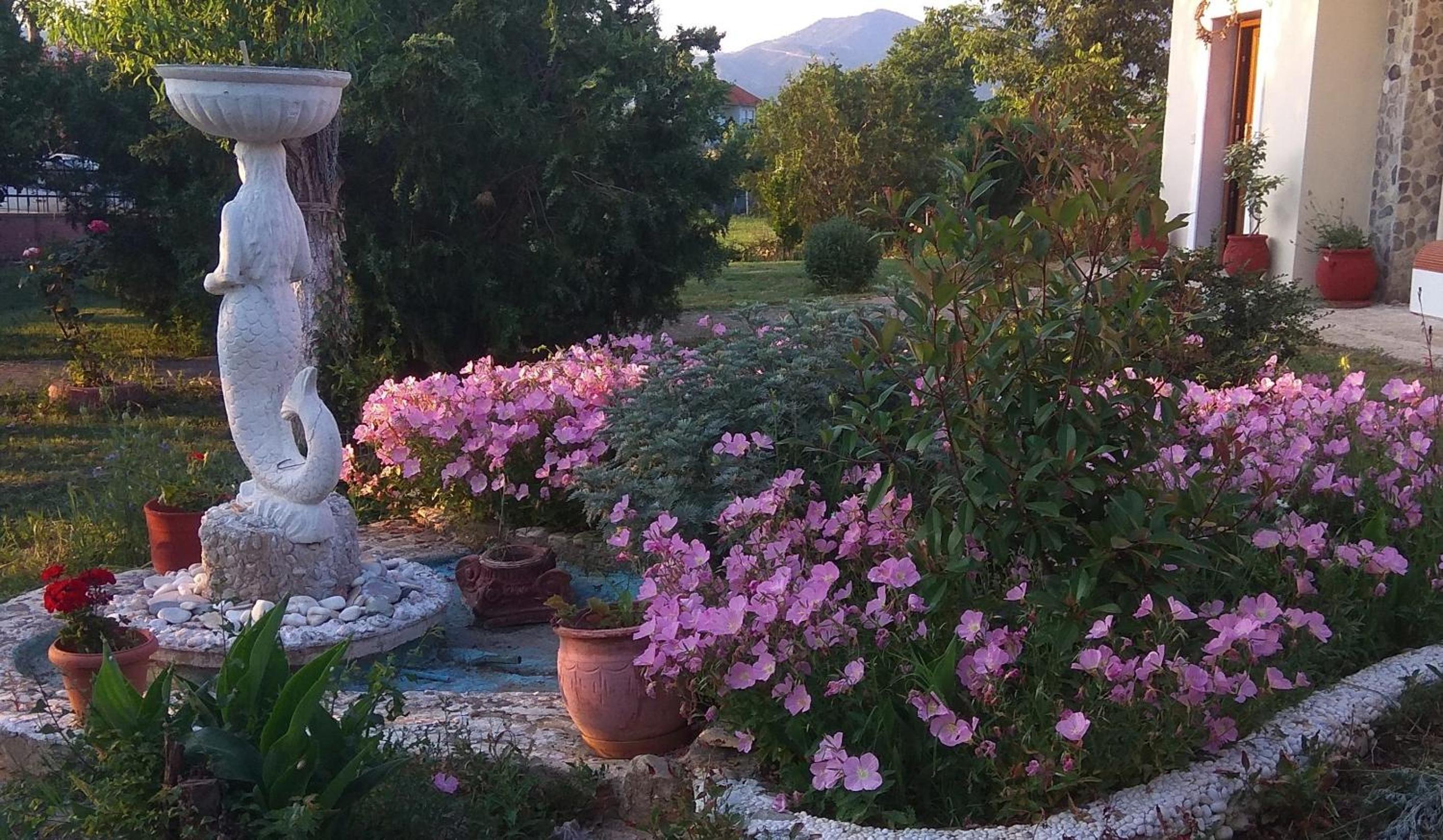 Villa Elly