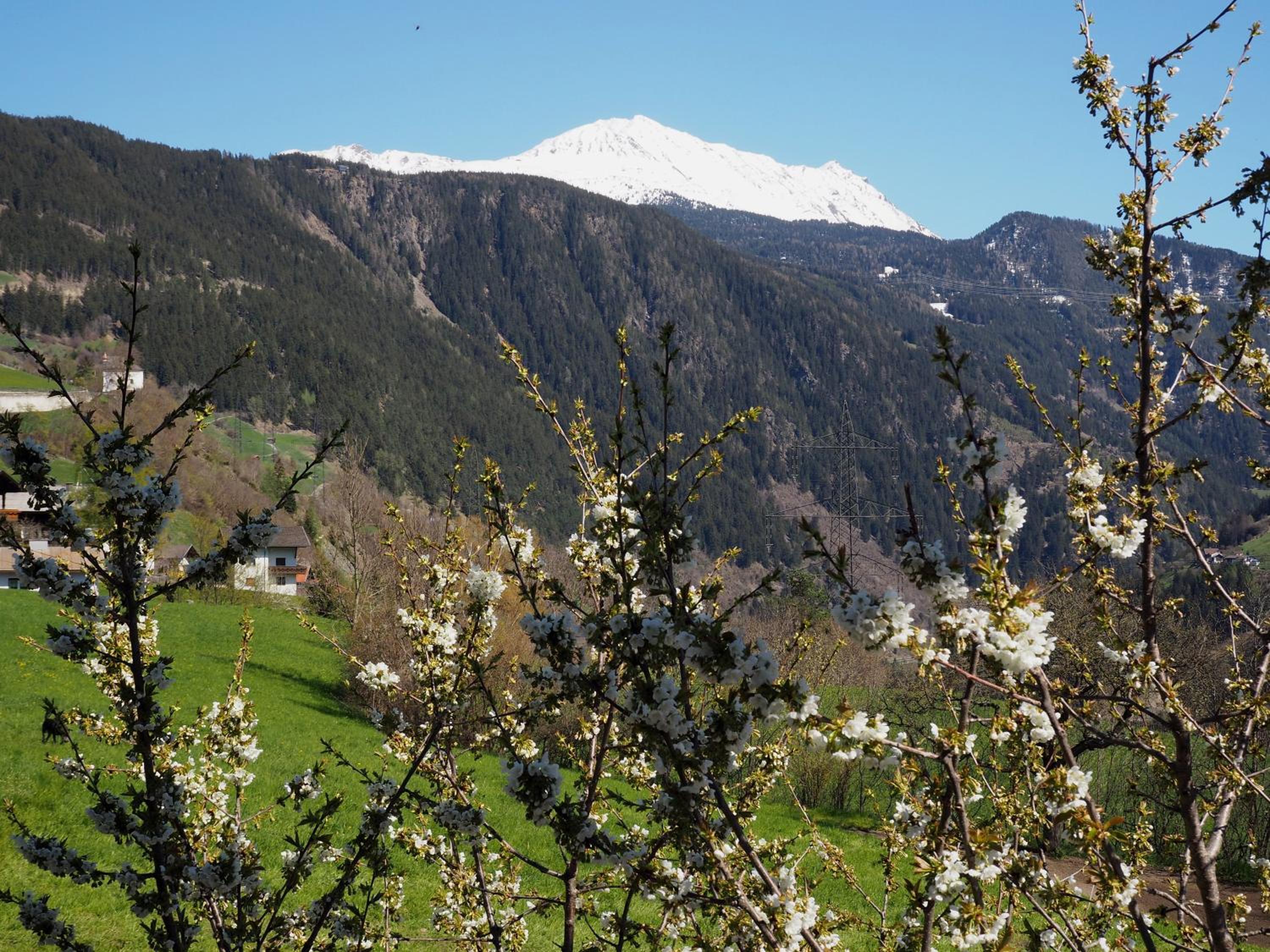 Haus Gabriel