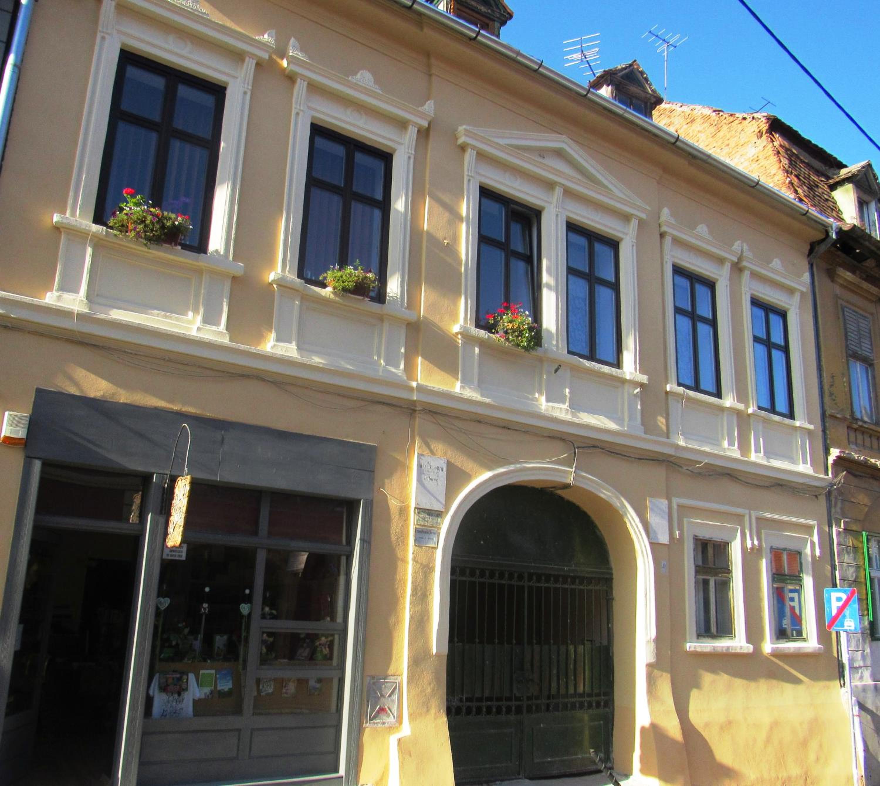 Photo 7