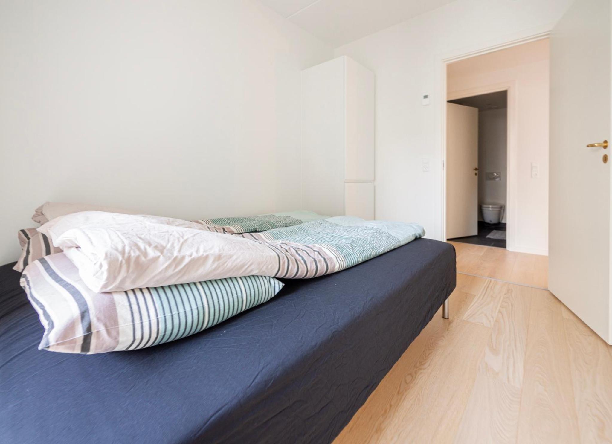 3 Bedroom Apartment on the new Nordhavn canals neighborhood