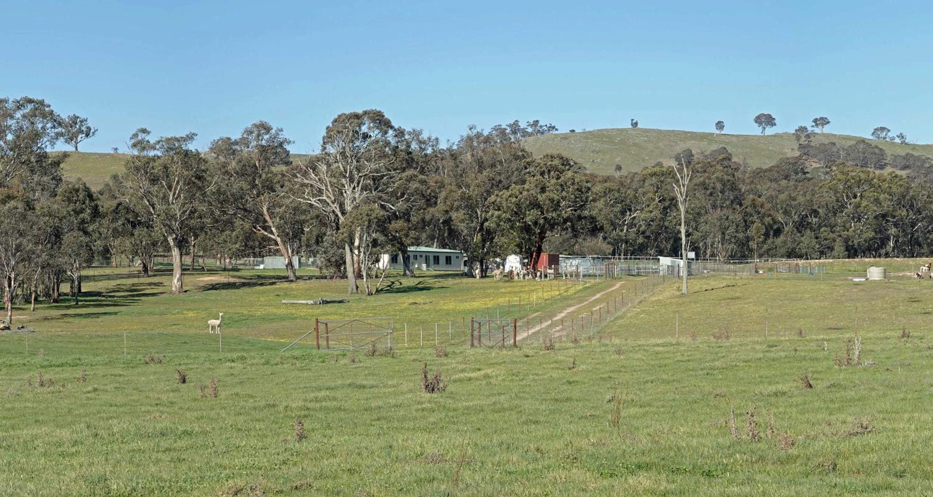 Glenview Alpaca Farm