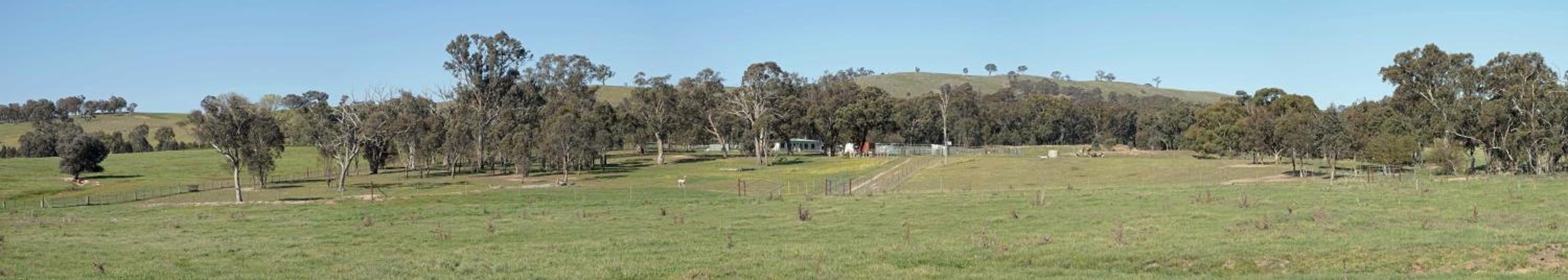 Glenview Alpaca Farm