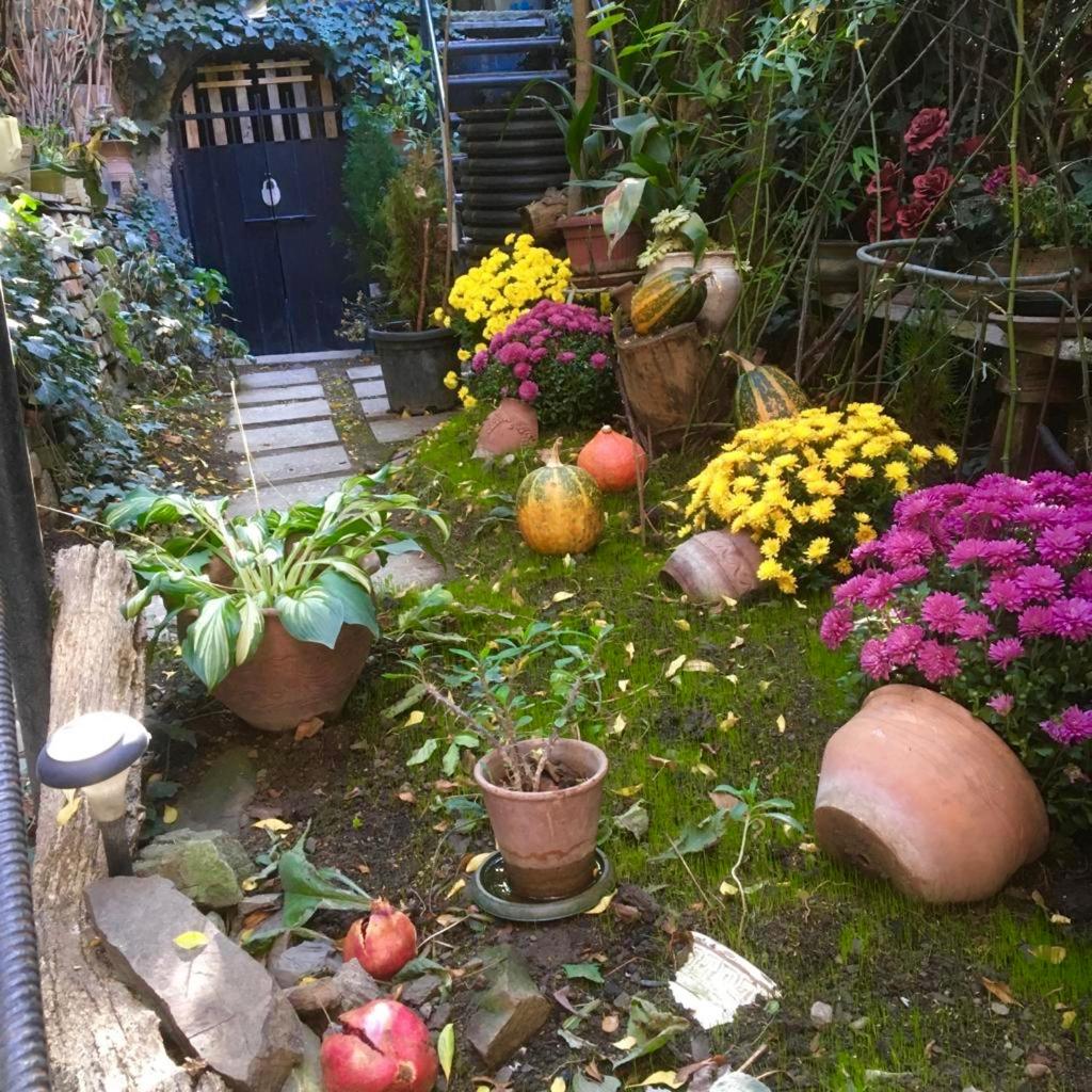 Tania's Home view 5
