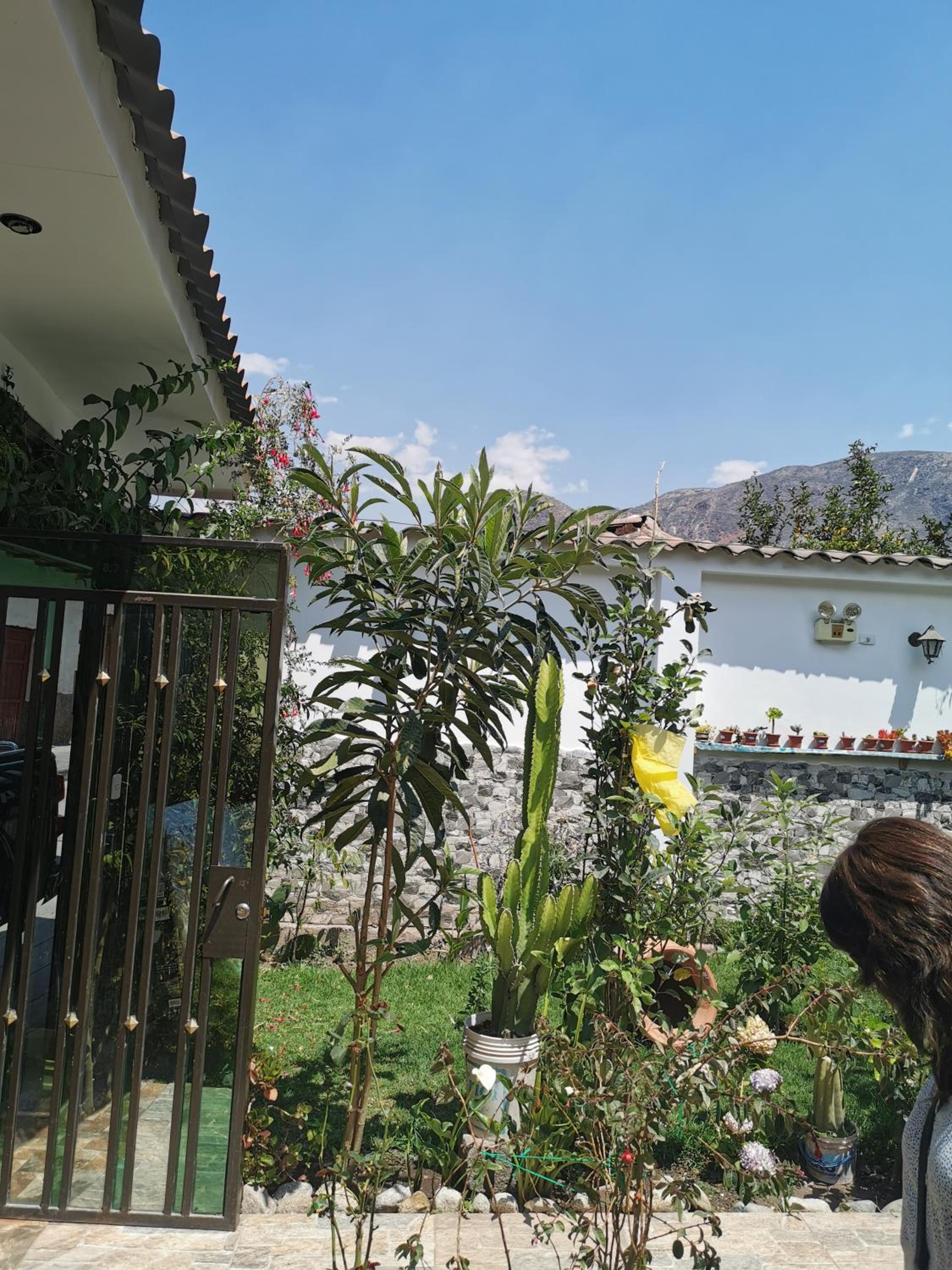 Photo 9