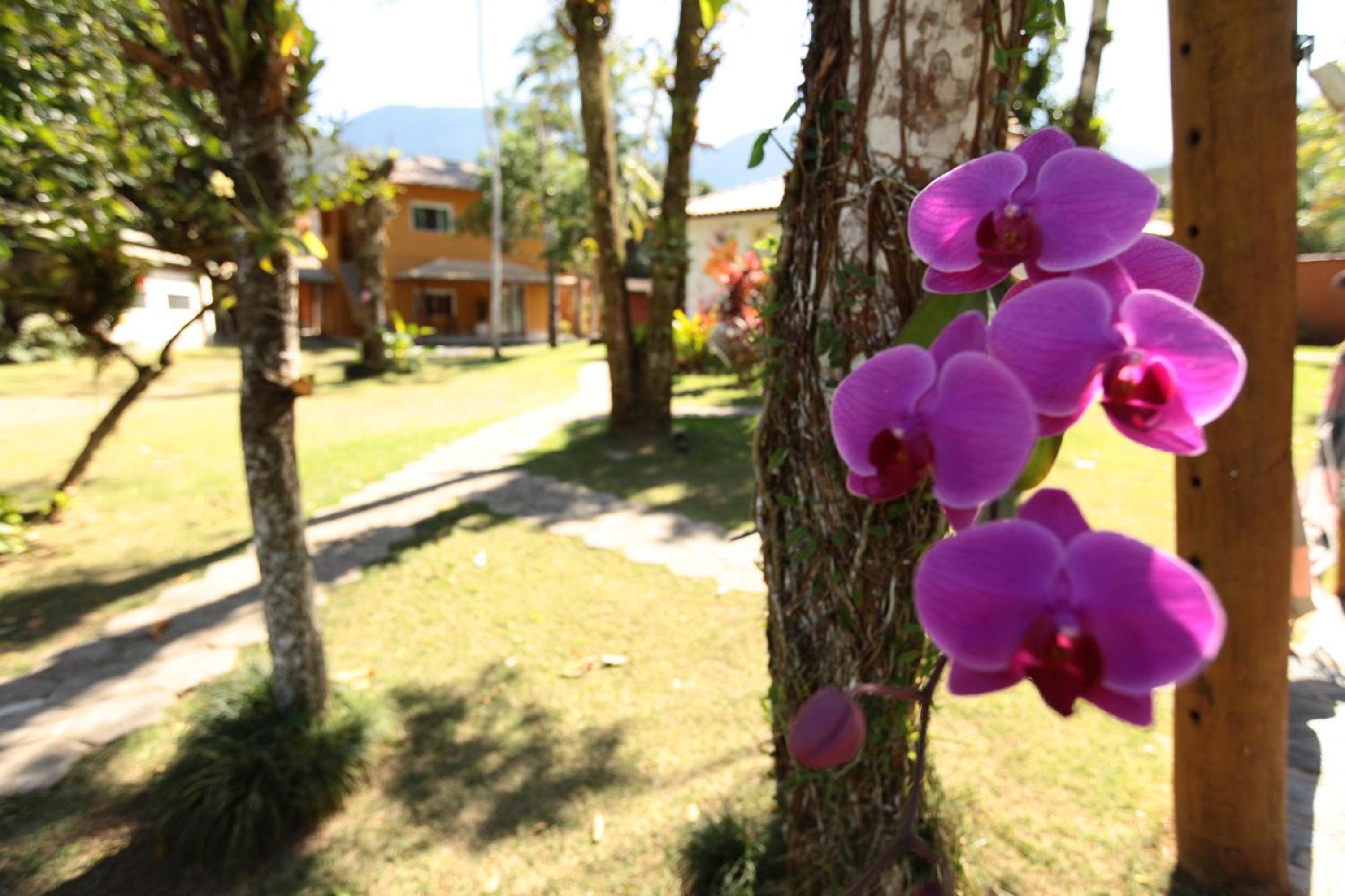 POUSADA DAS ORQUIDEAS20 view 4