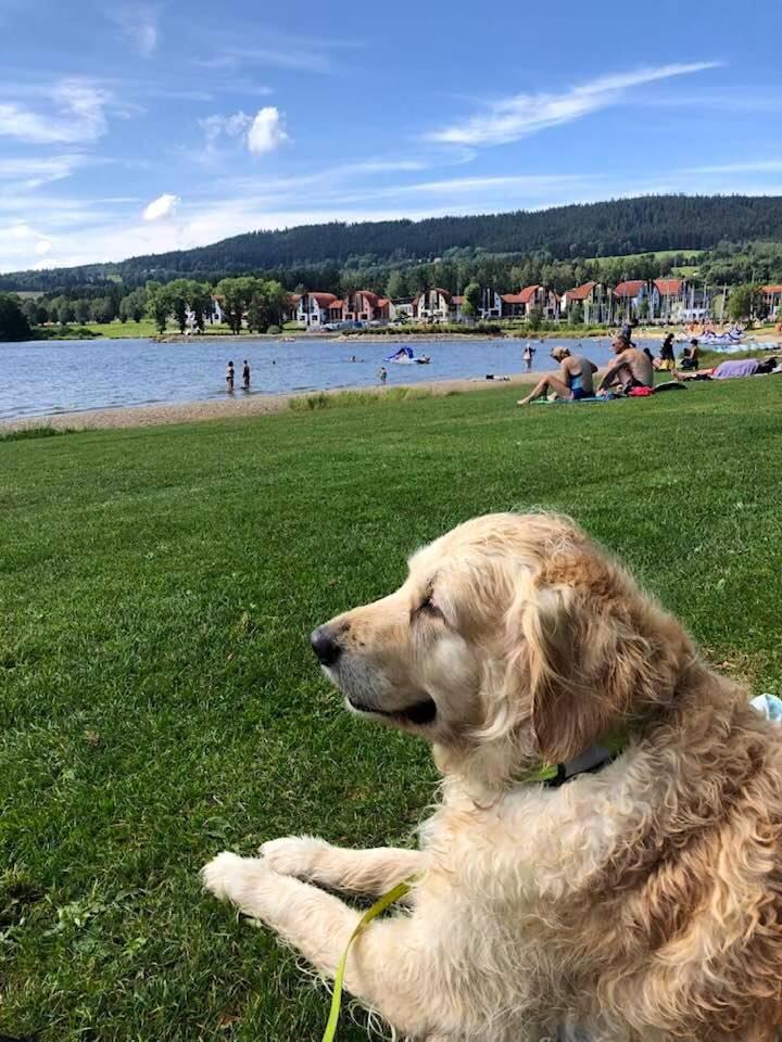 Apartmán Lipno G11