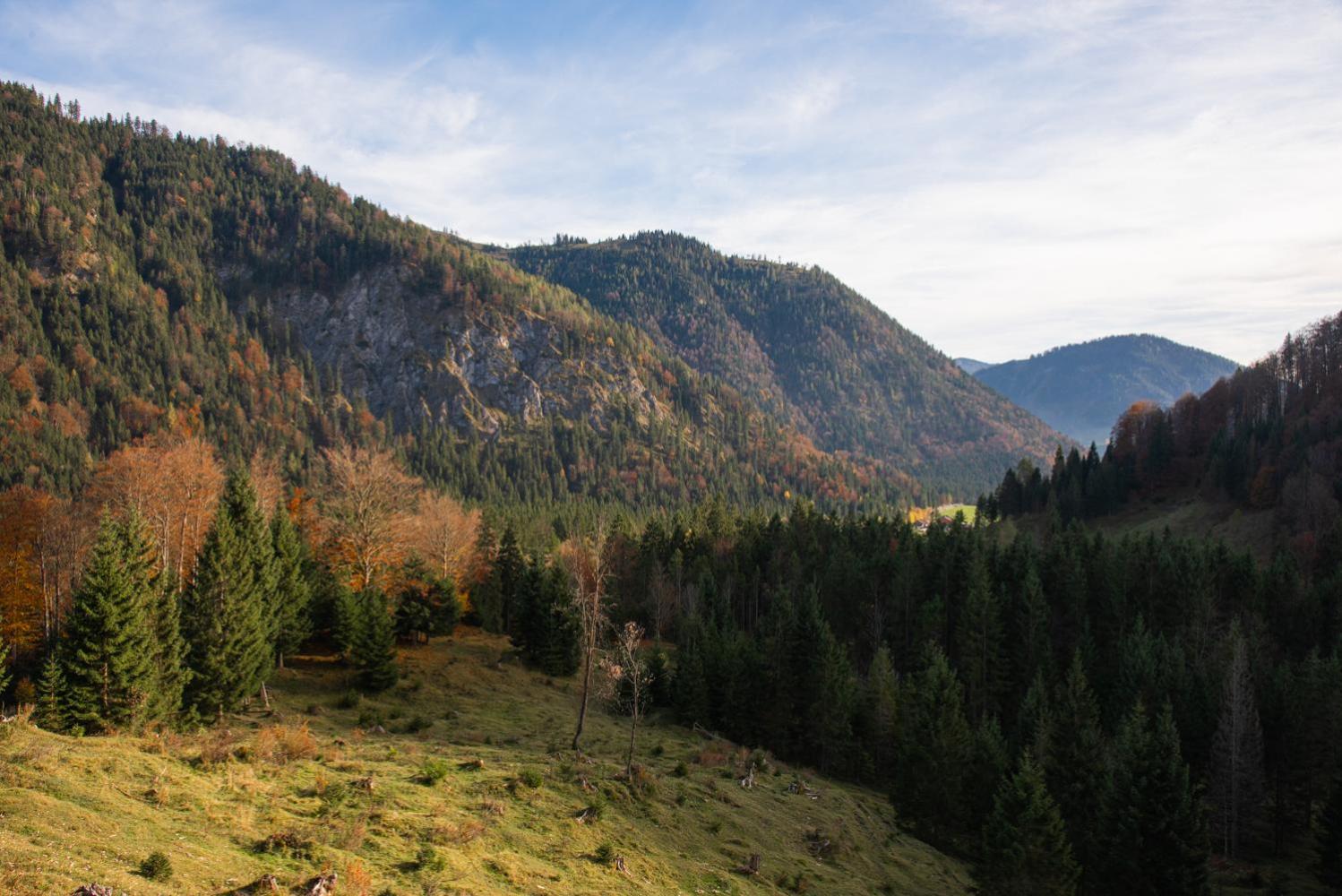 Gipfelkönig