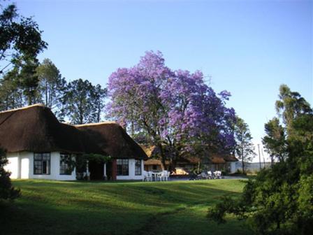 Antbear Eco Lodge Drakensberg view 2