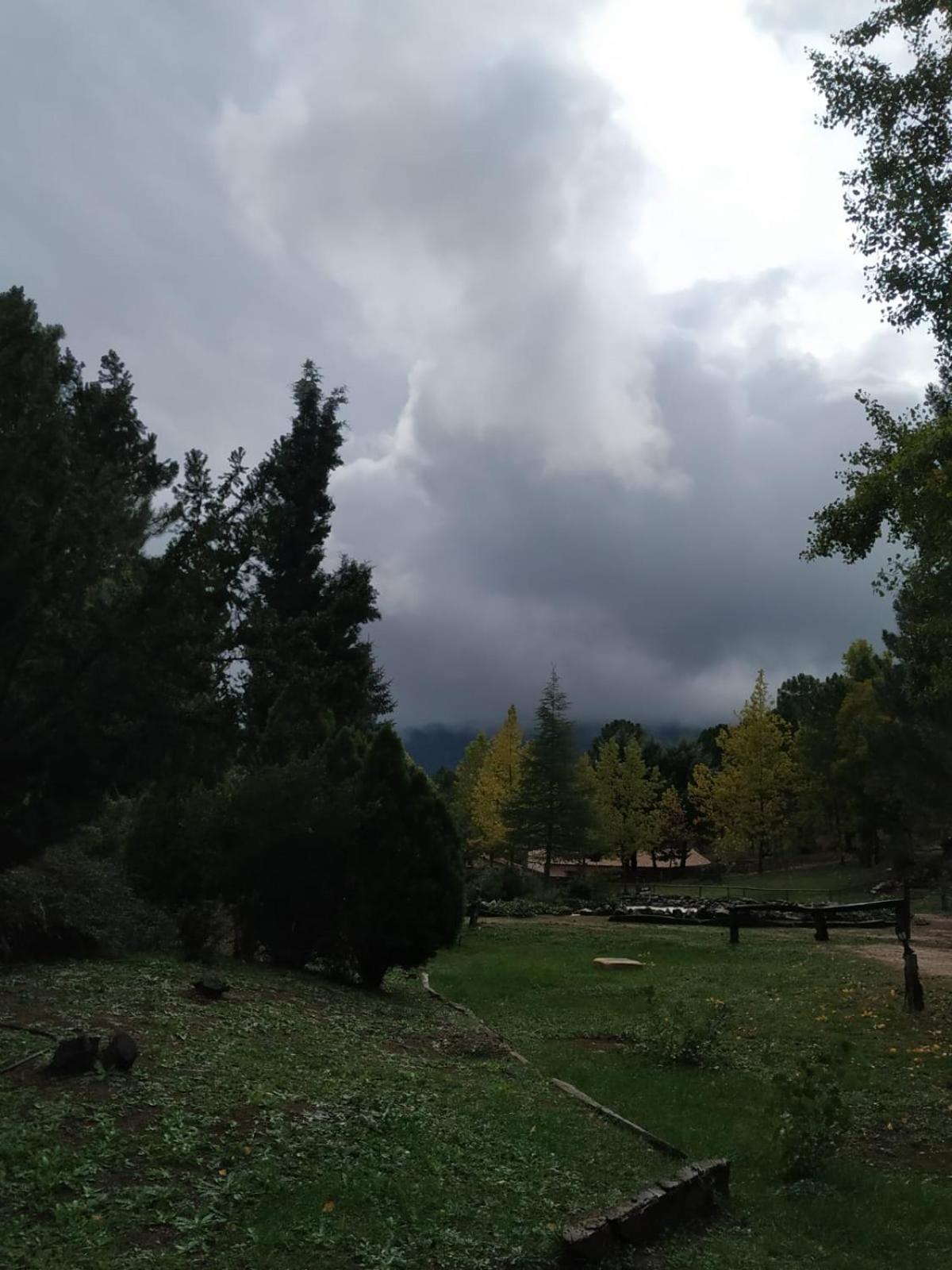 Photo 21