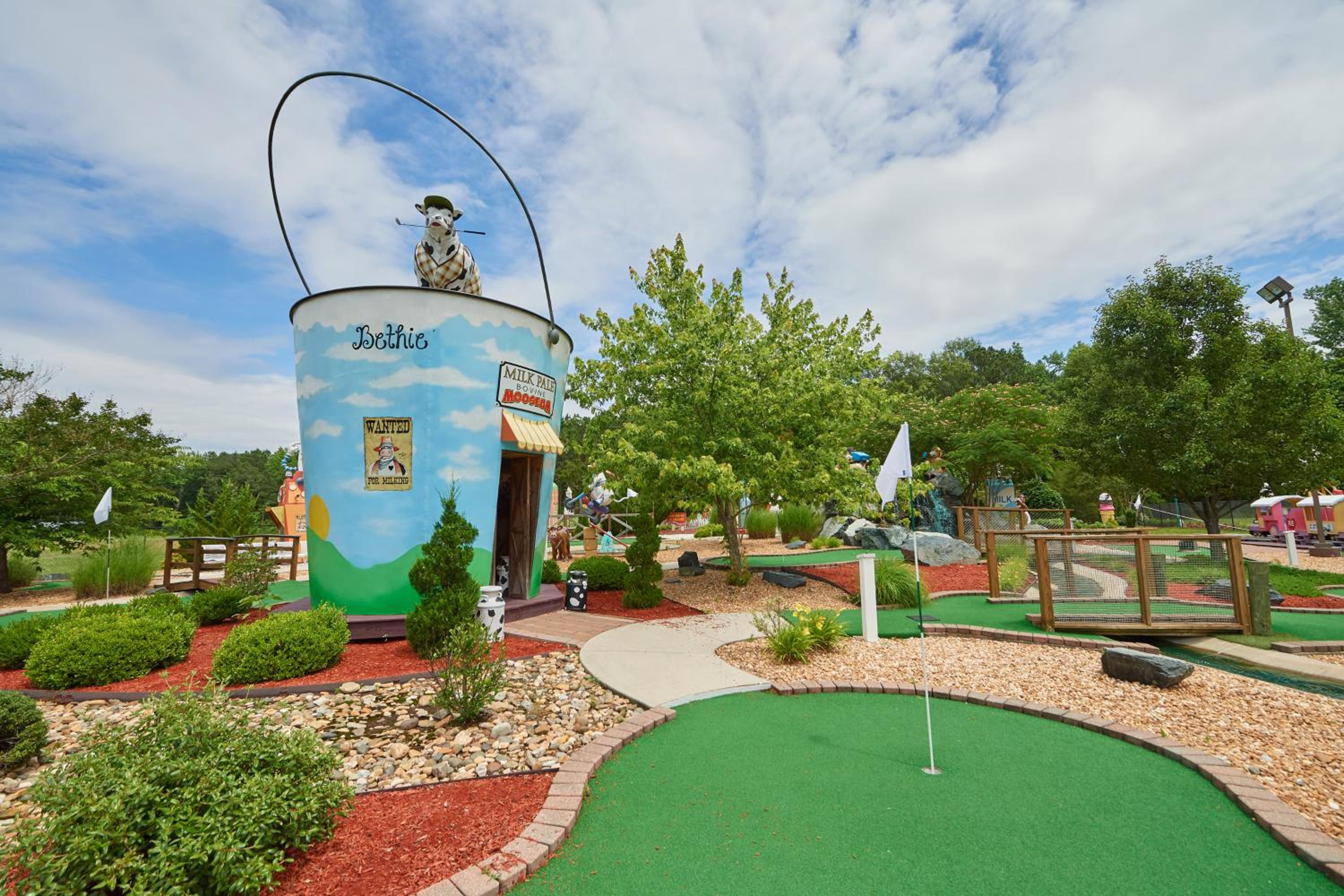 activities & amenities
