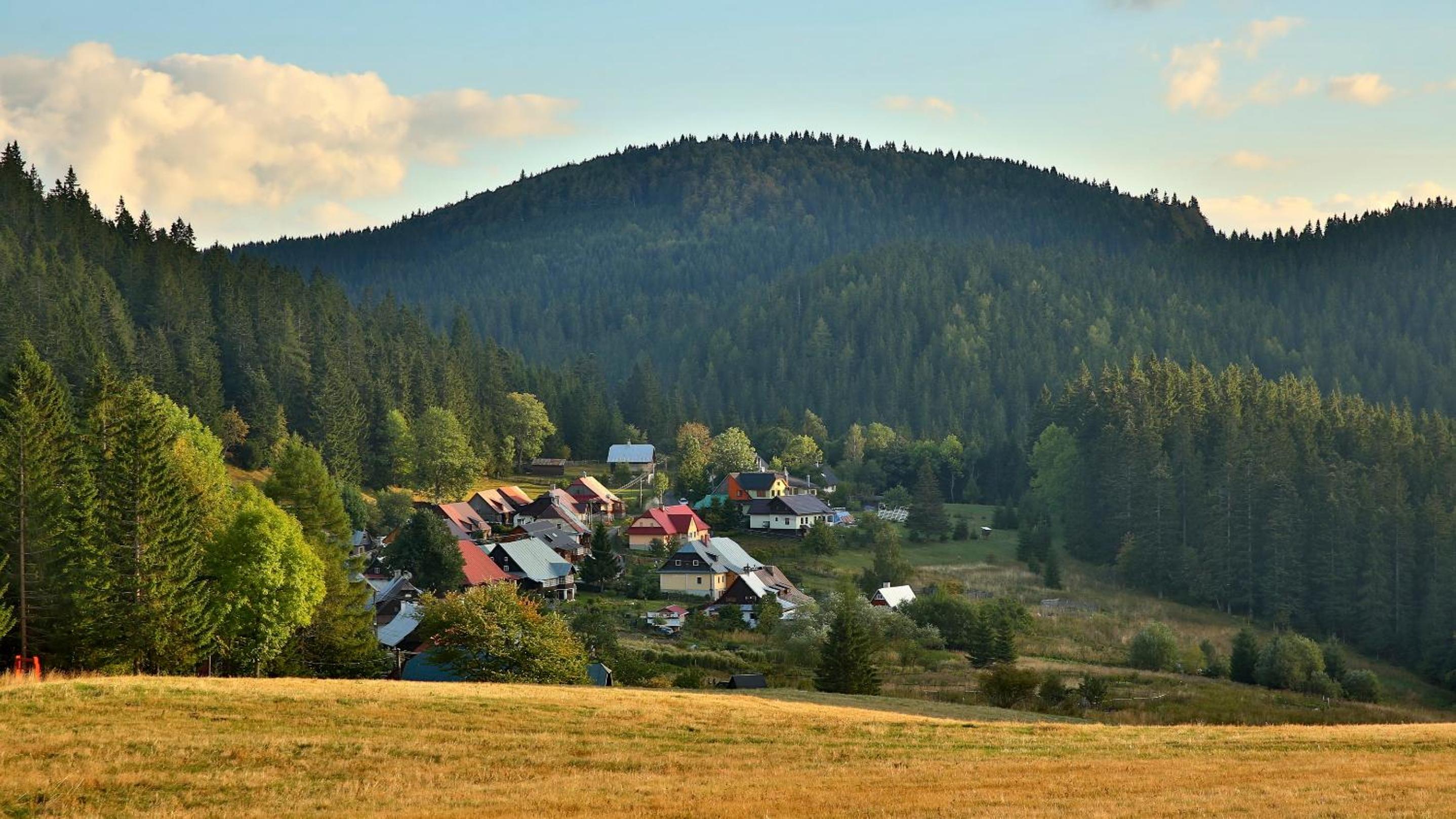 Photo 51