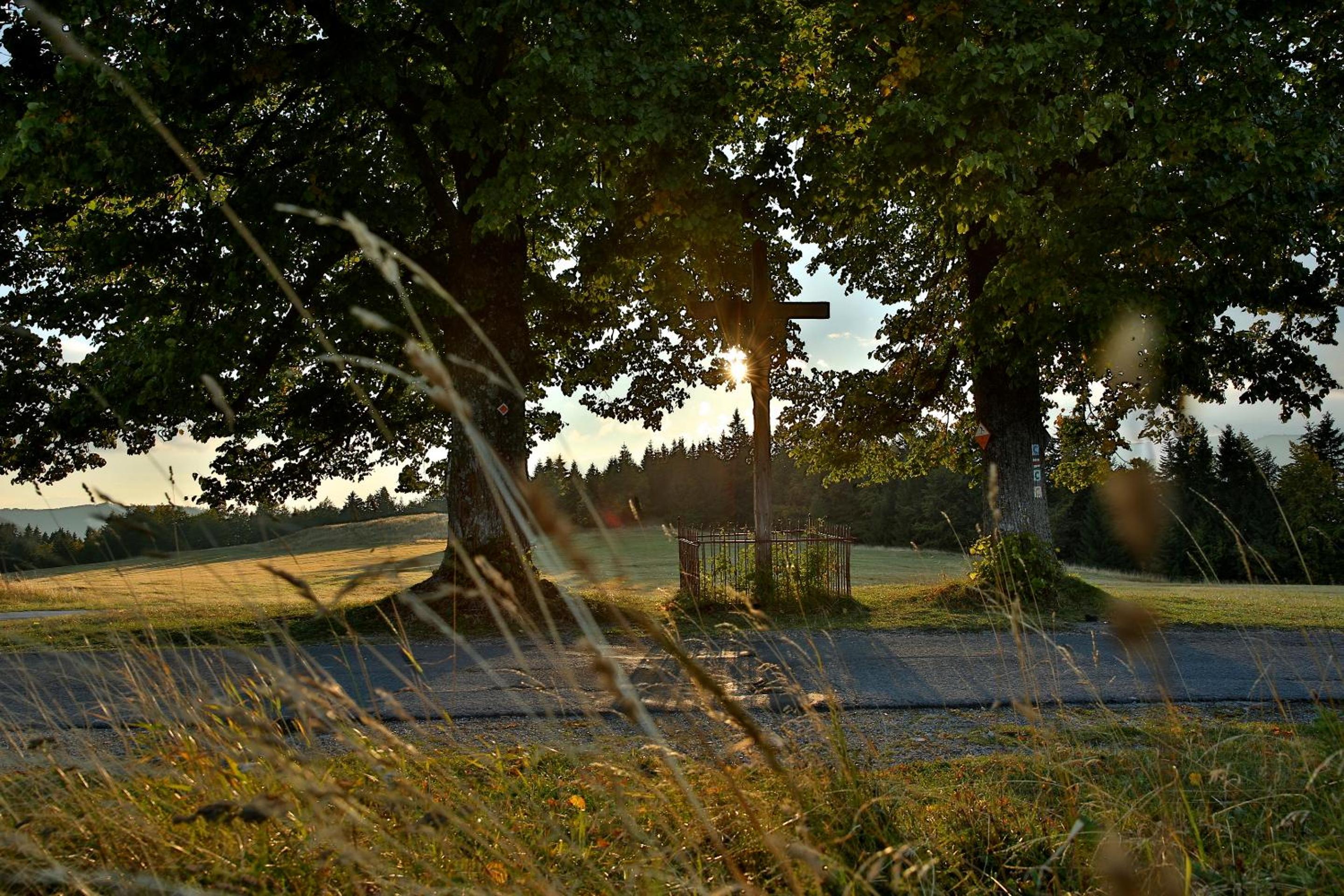 Photo 52