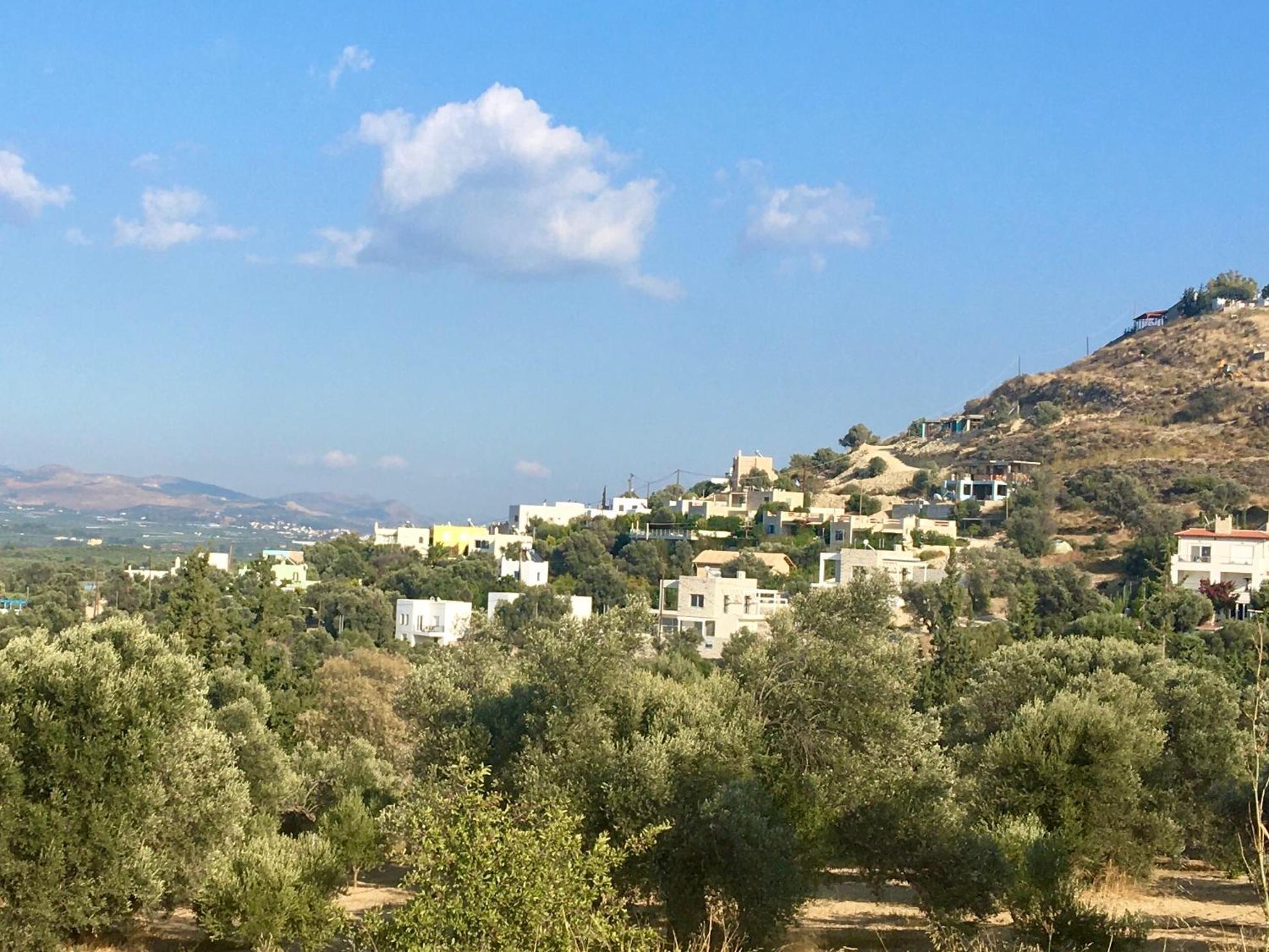 Landros view 2