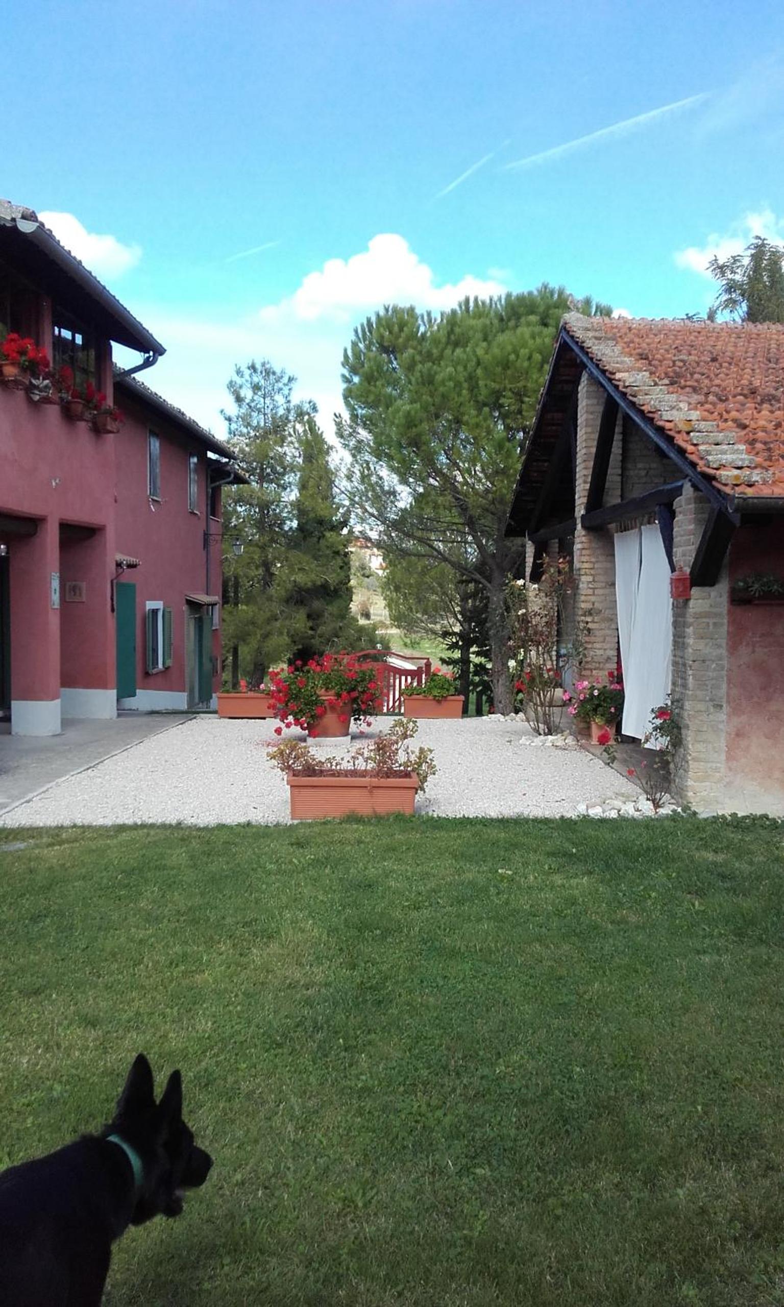 Photo 8
