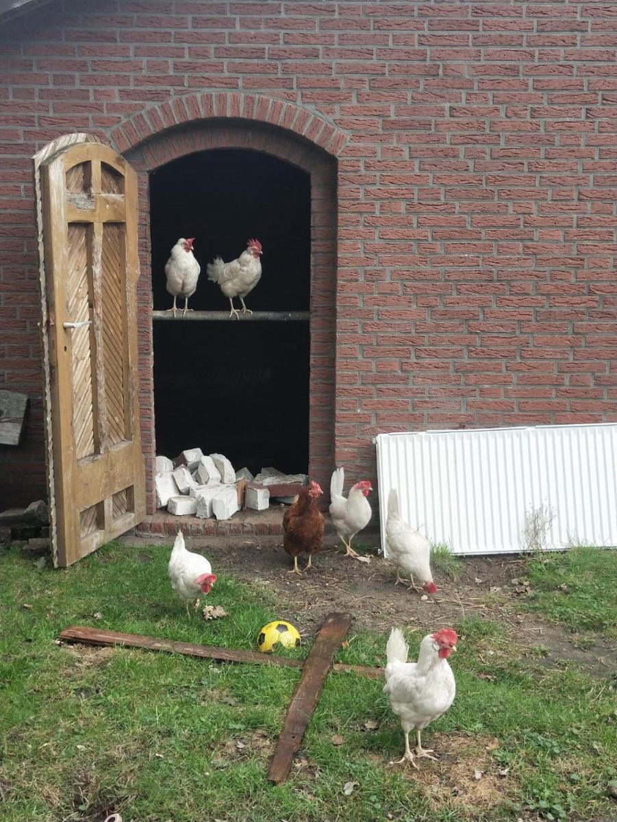 Betsie`s Place