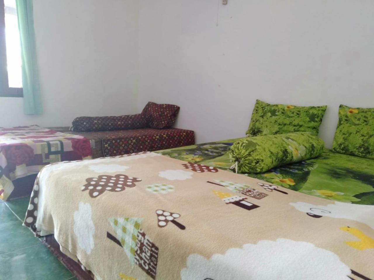 Photo 7