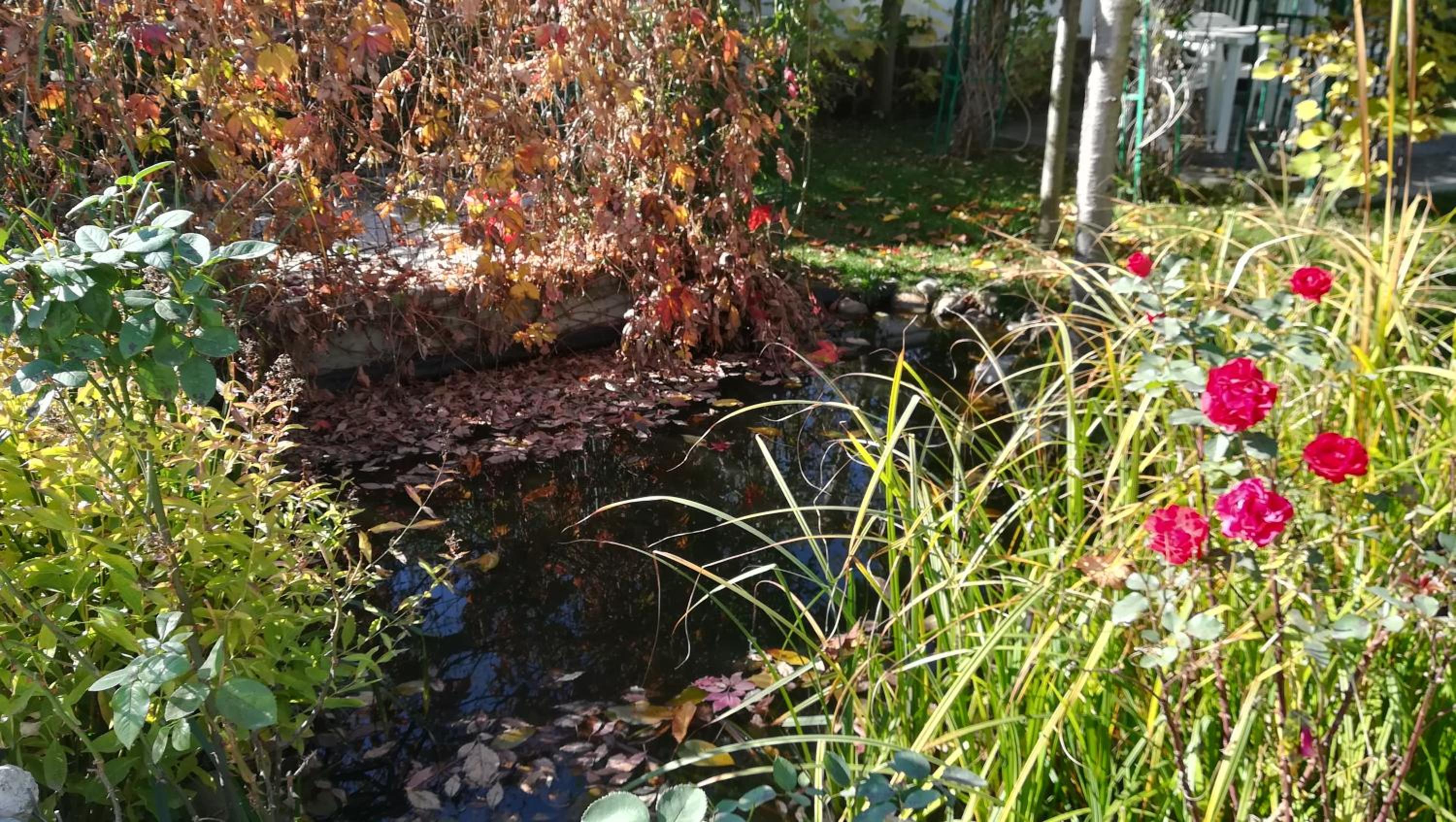 Photo 32