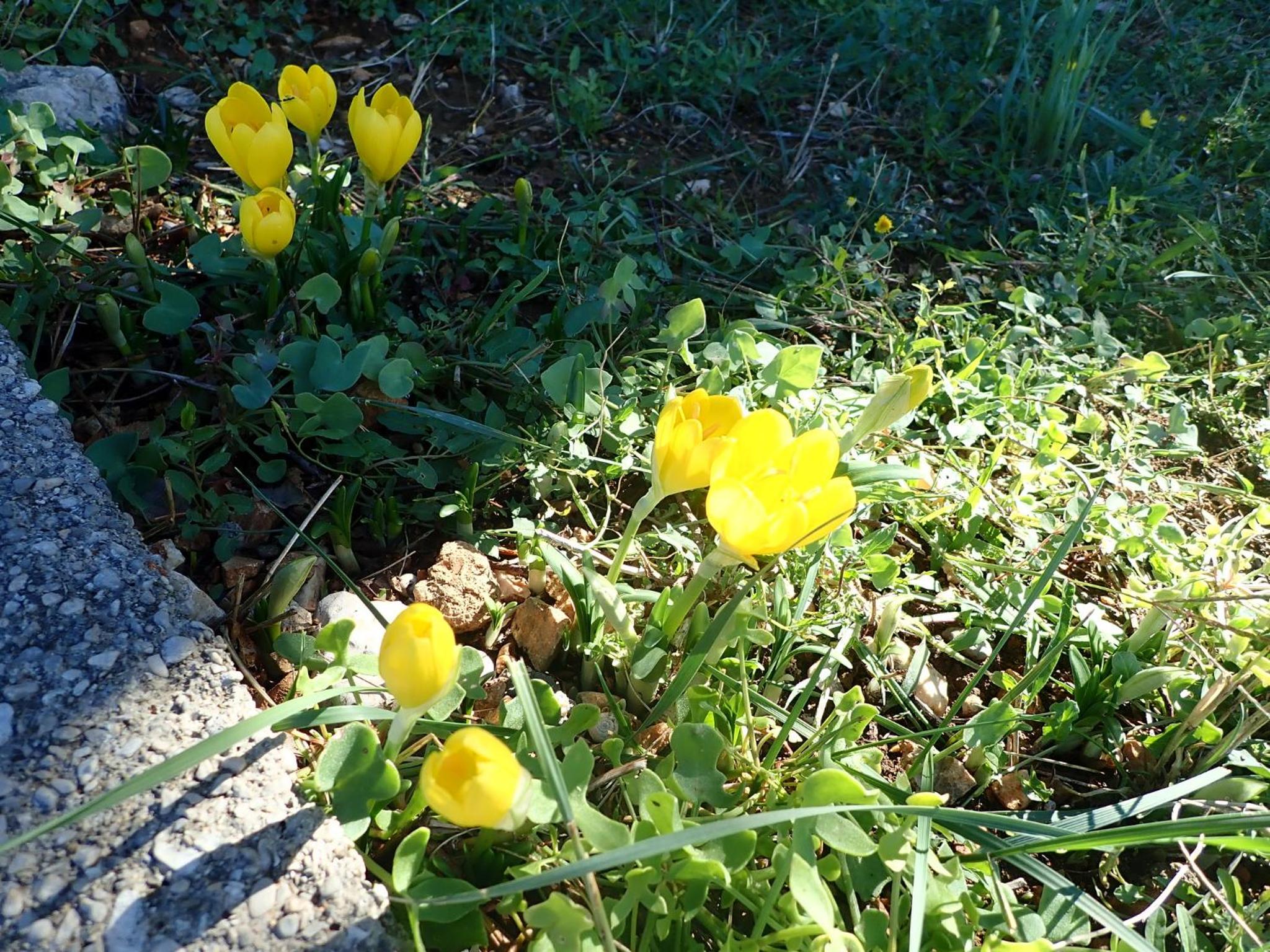 Photo 39