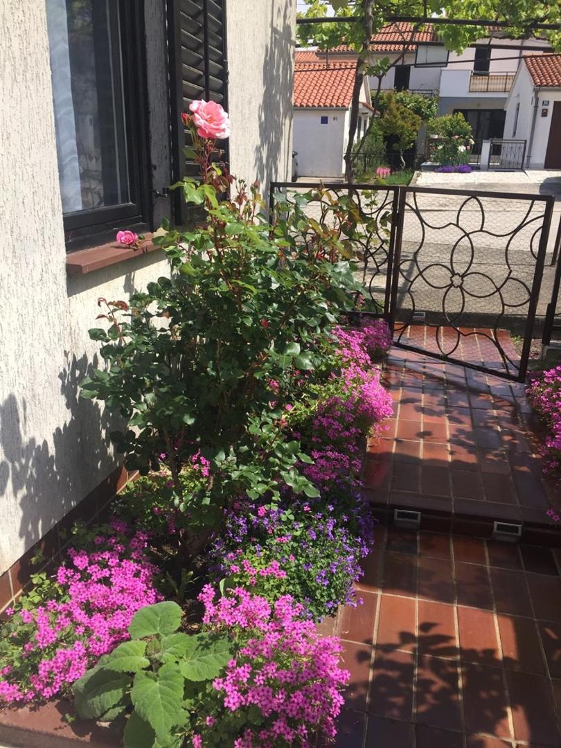 Apartments Porec beach area Simo - Property Image 51