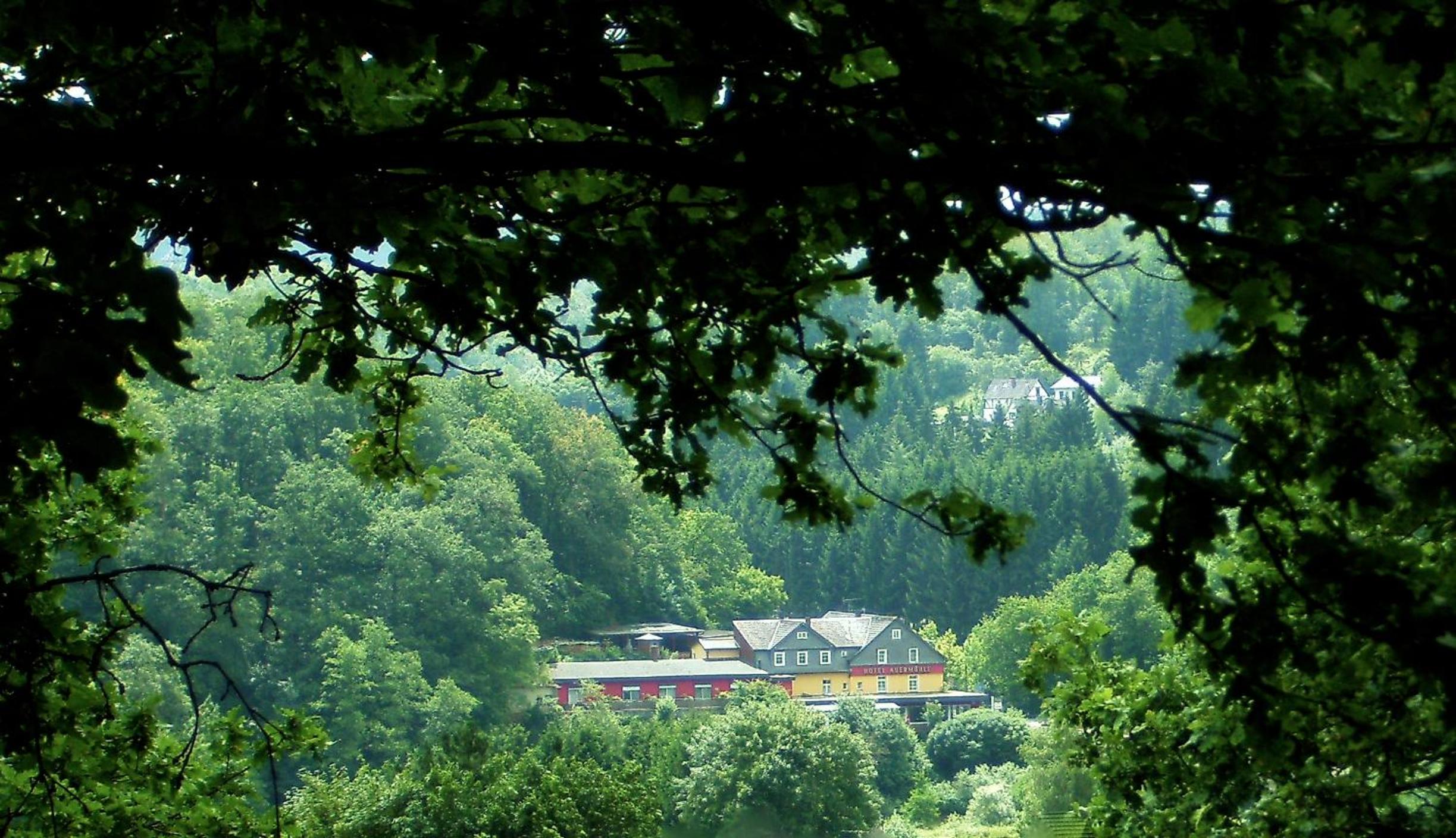 Hotel Auermühle