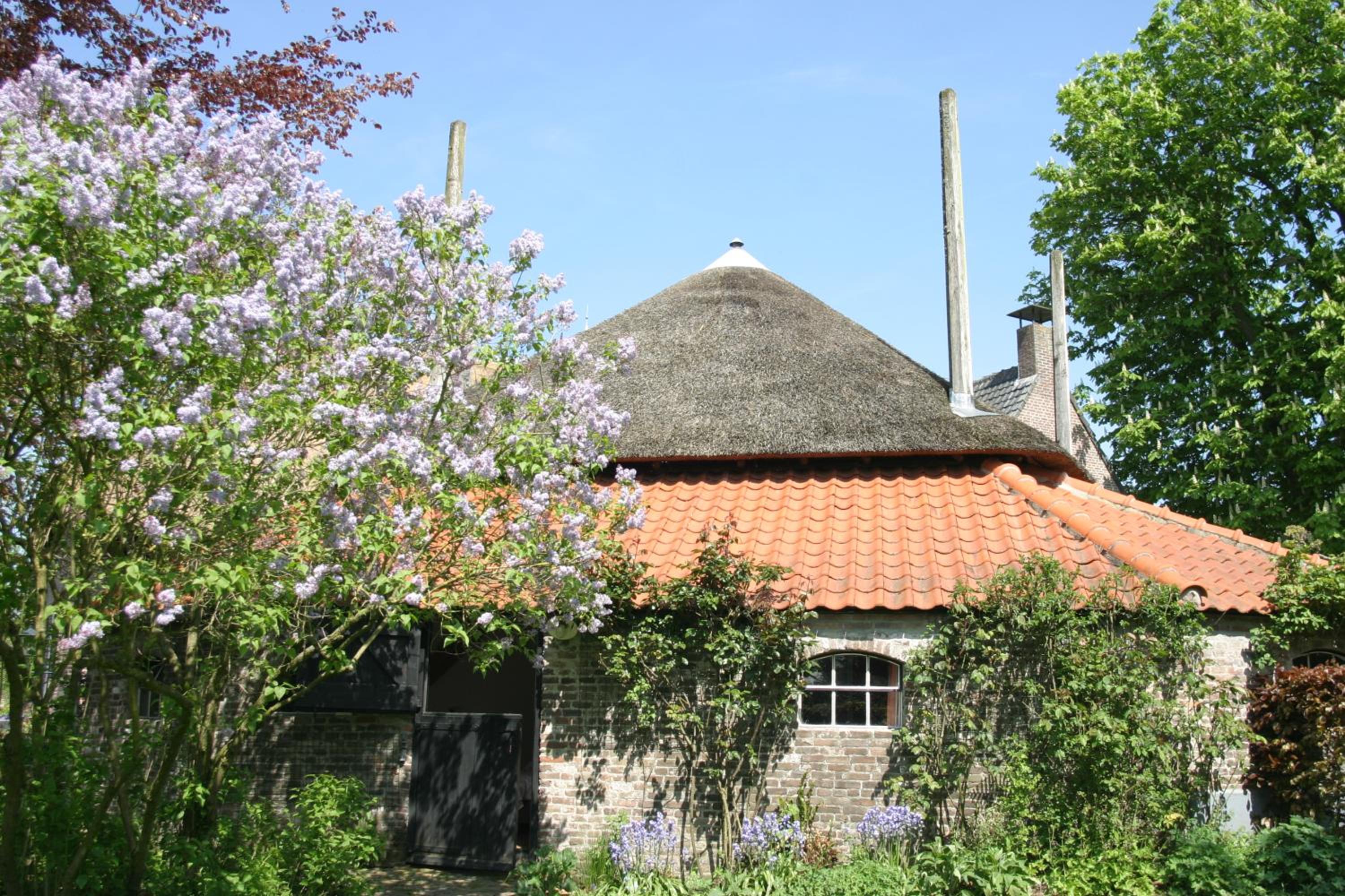 Photo 17