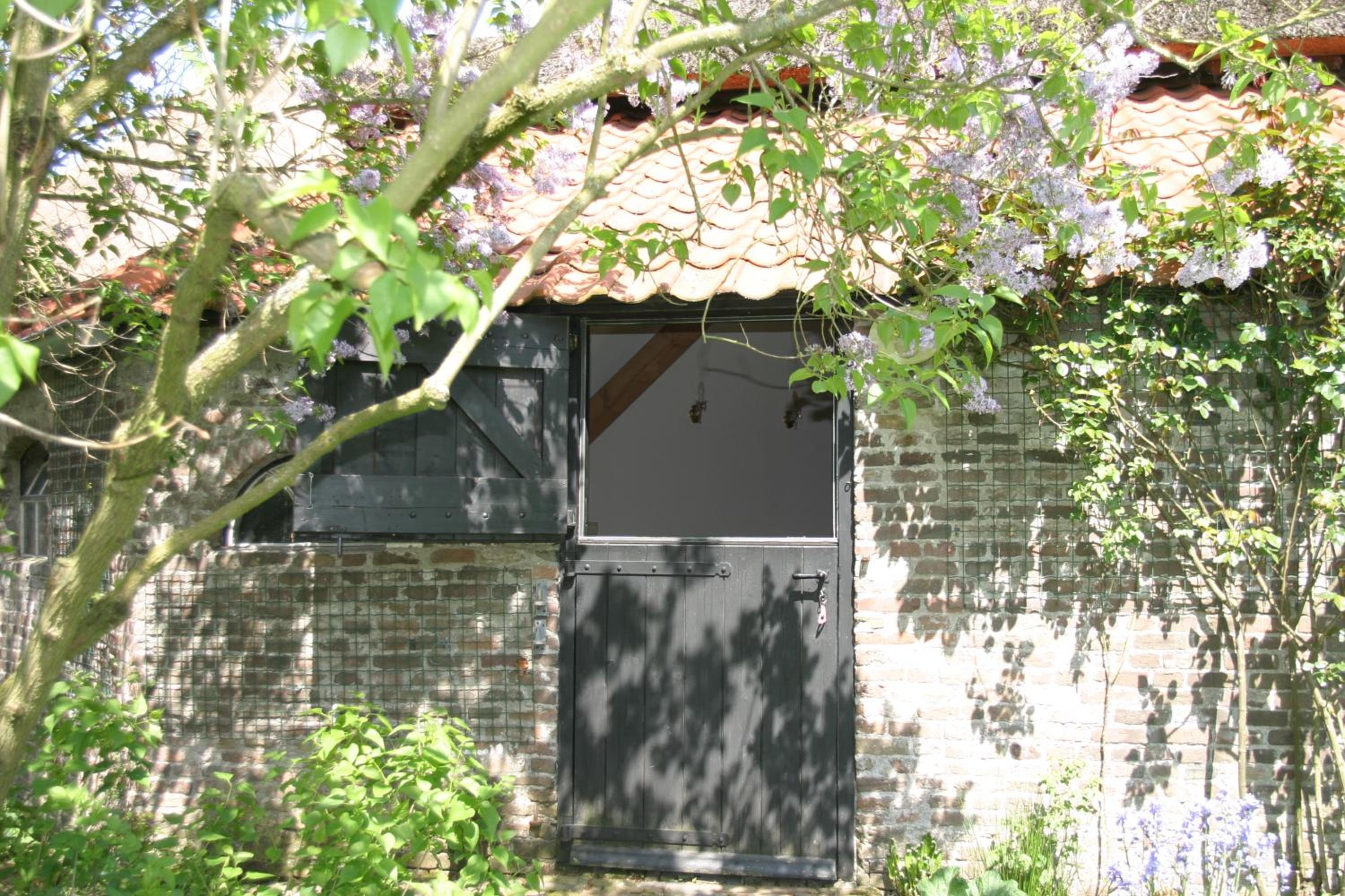 Photo 16
