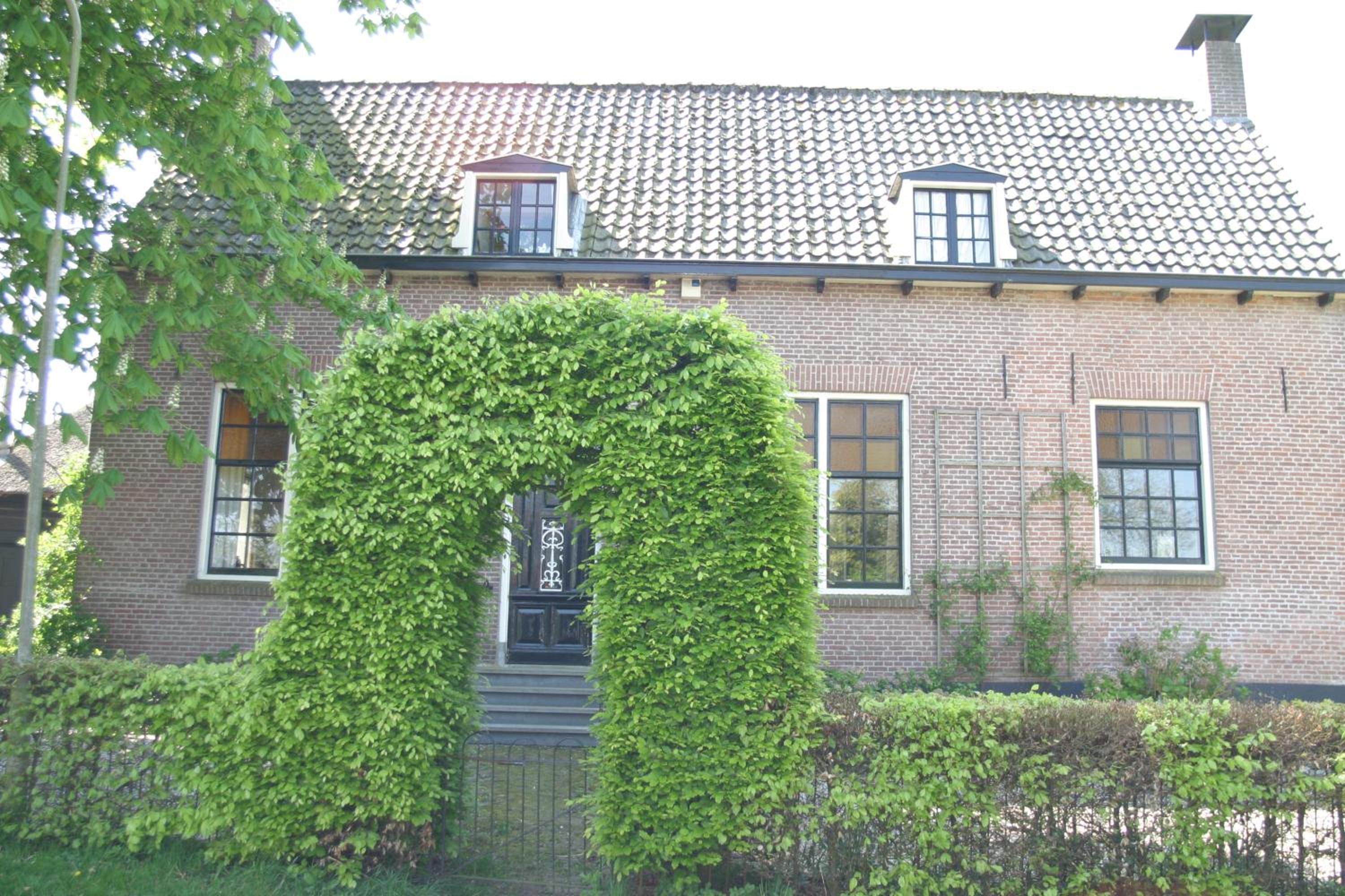 Photo 8