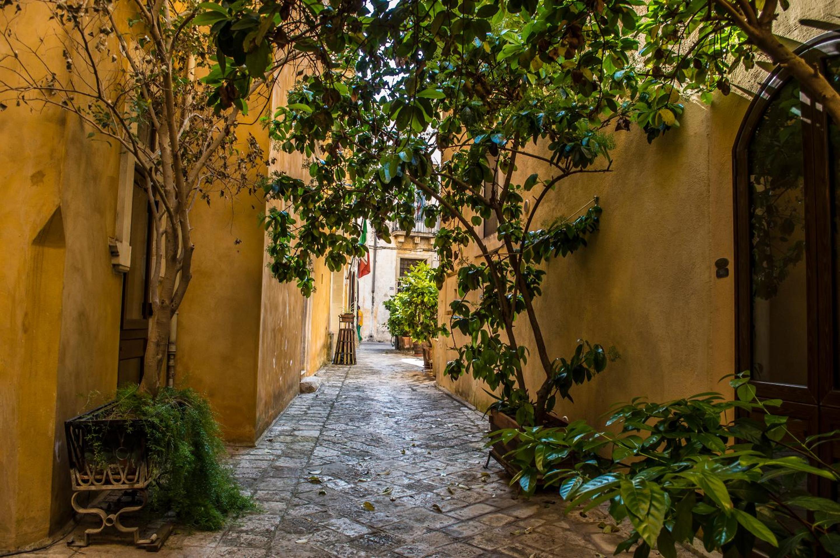 Corte Baldi view 5