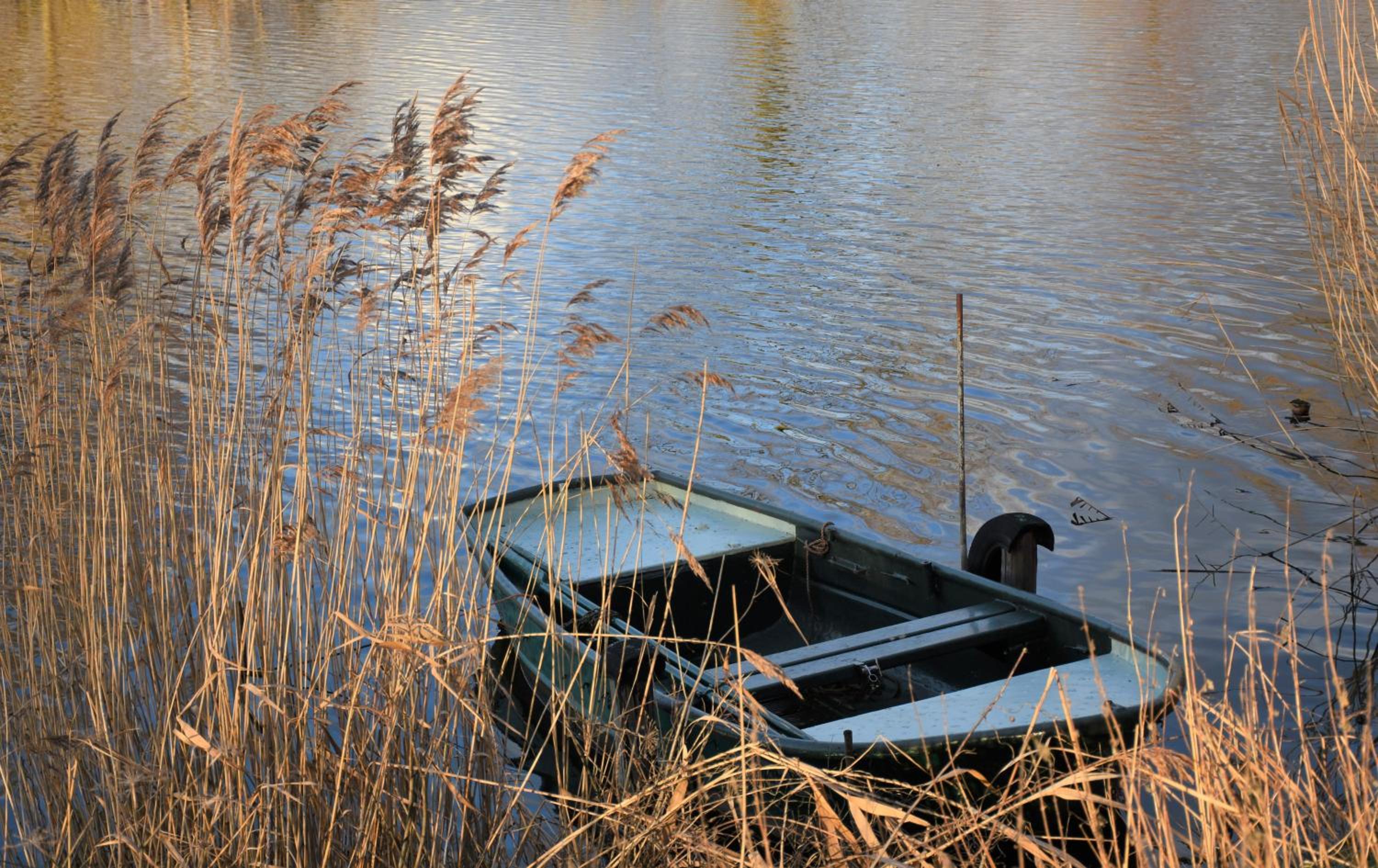 Vakantiewoning Lescaut