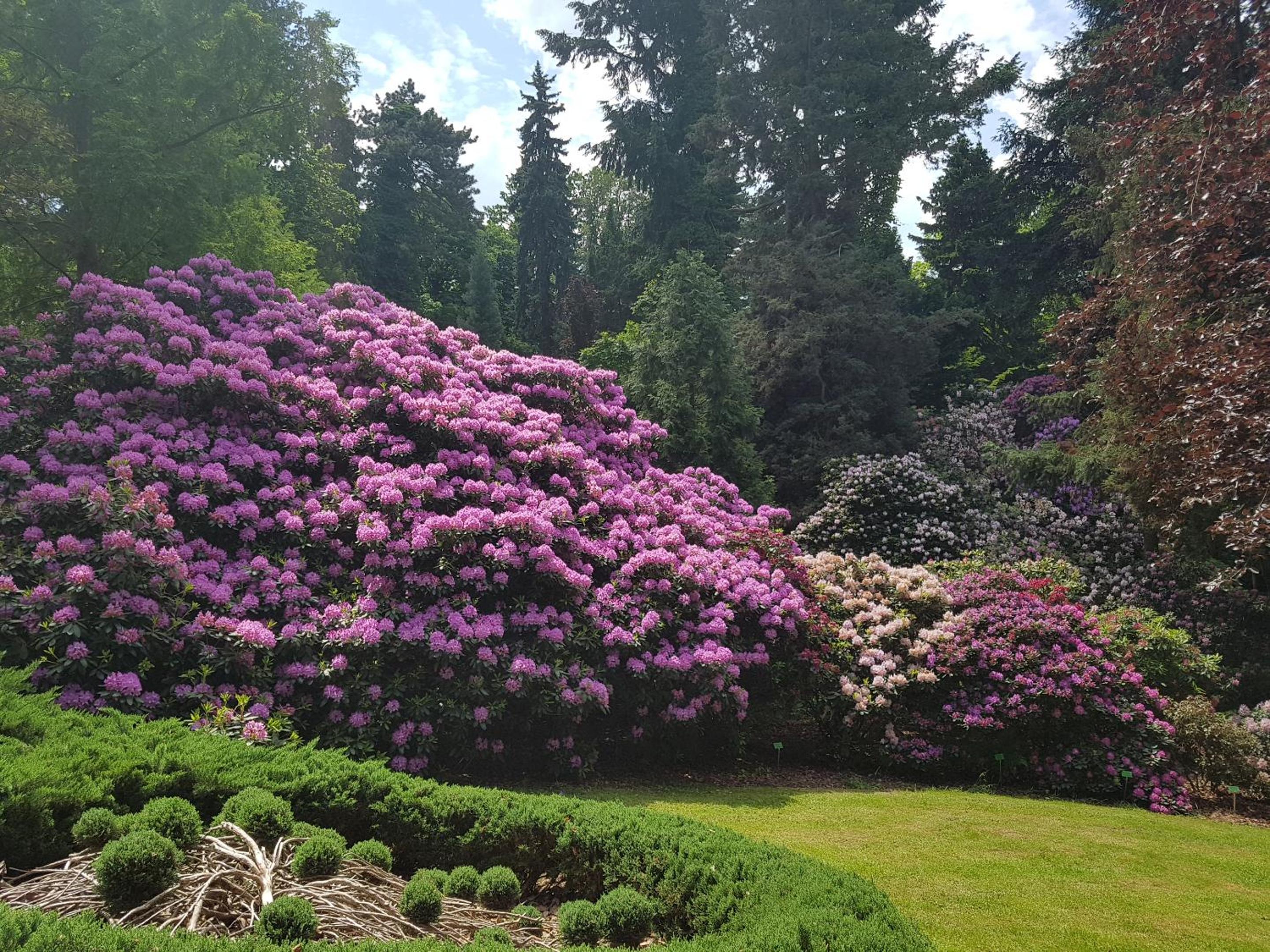 Photo 46