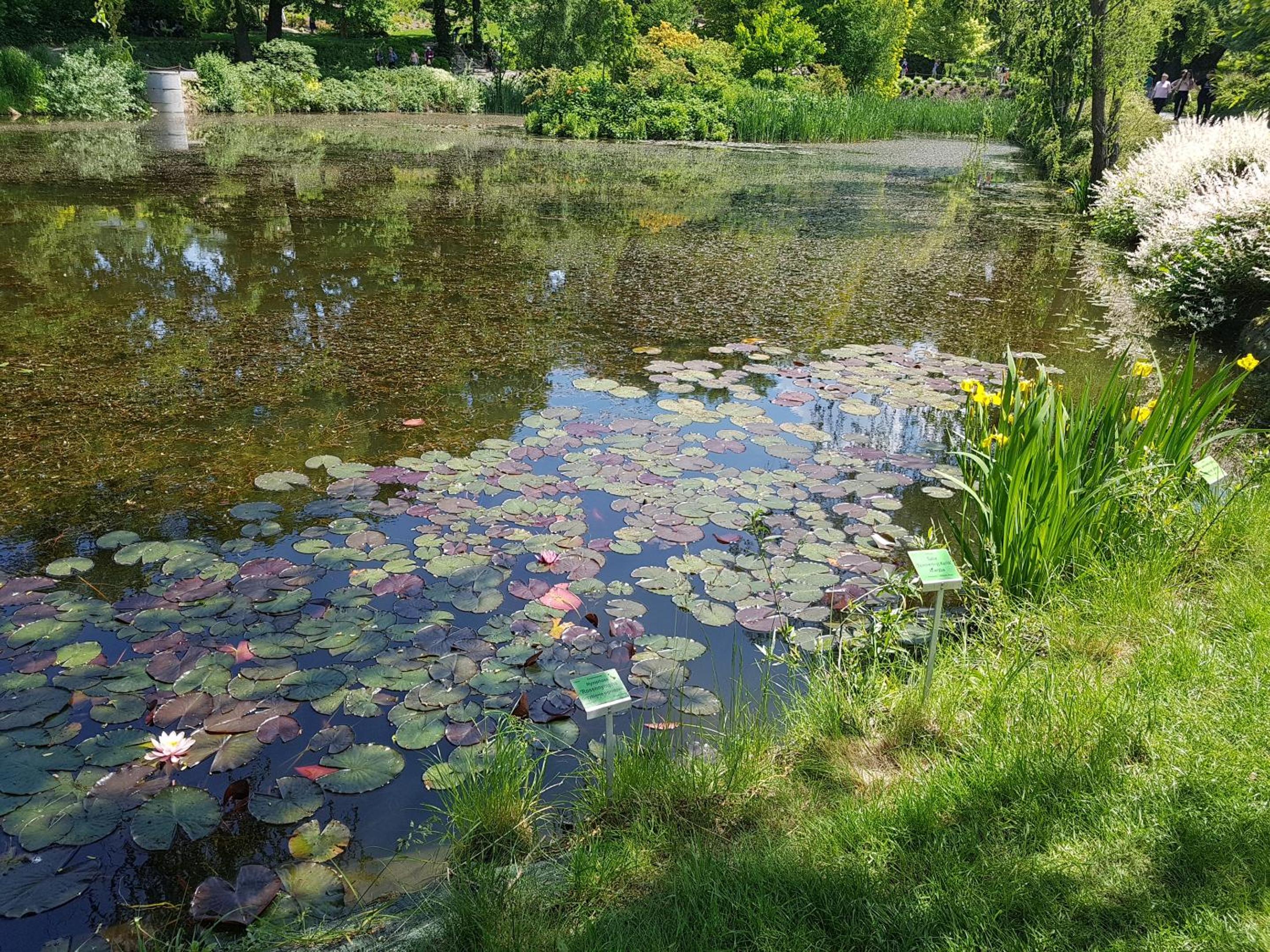 Photo 47