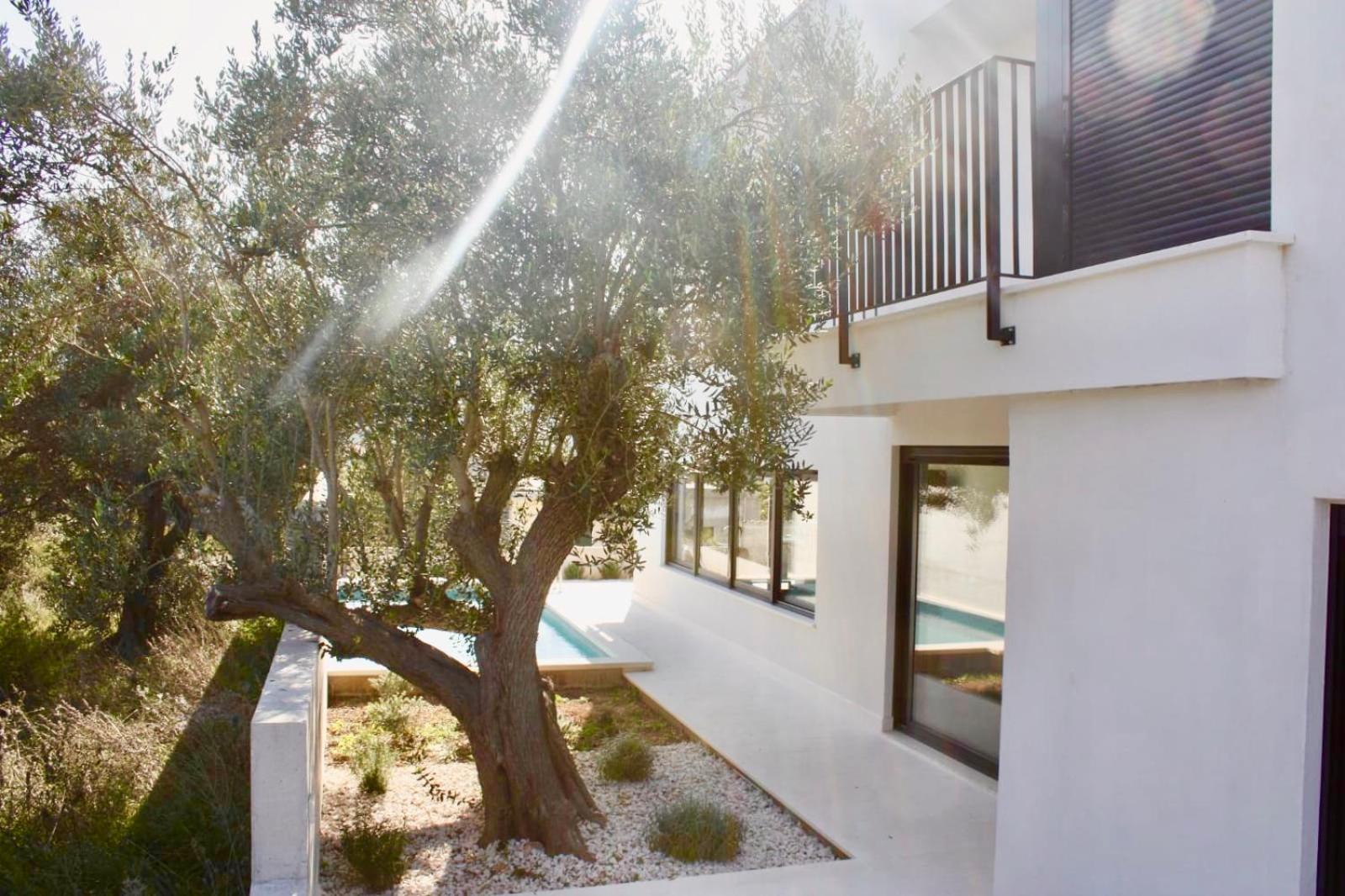 Hotel Domo Oliveto - Image 1