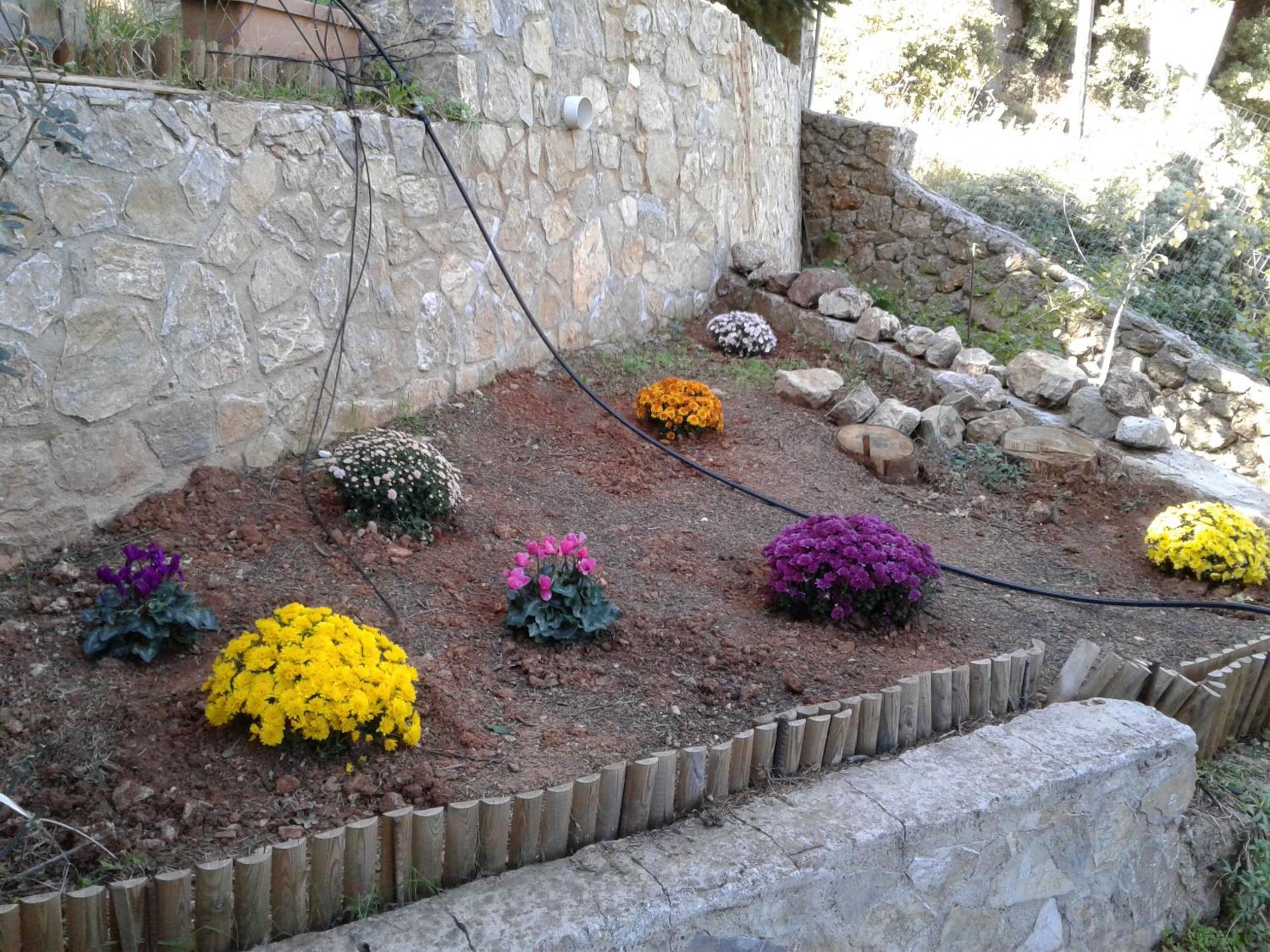 Photo 29