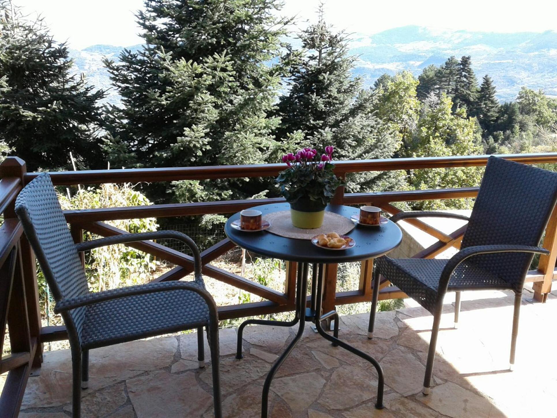 Elatos cozy Studio view 5