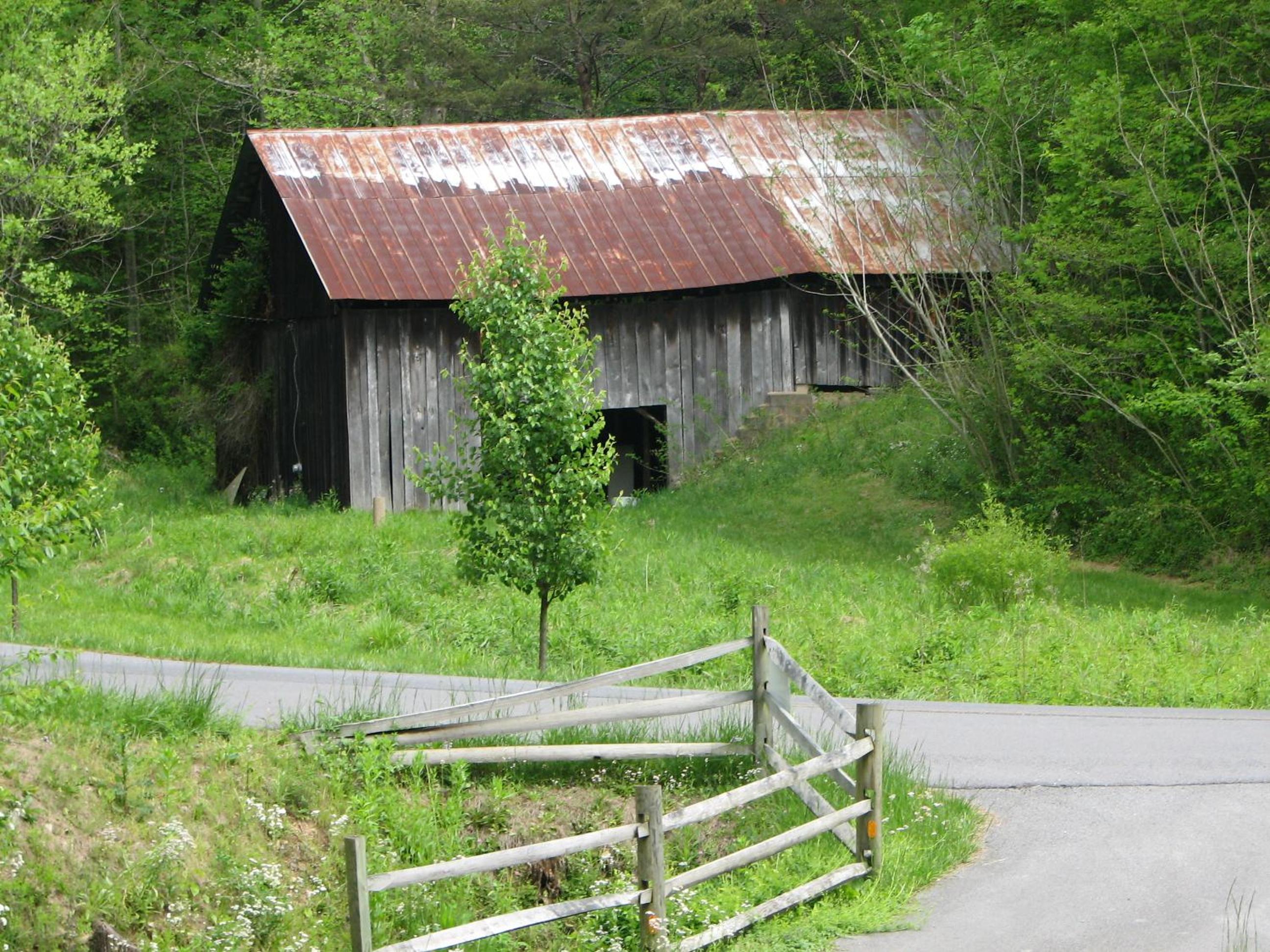 Photo 48
