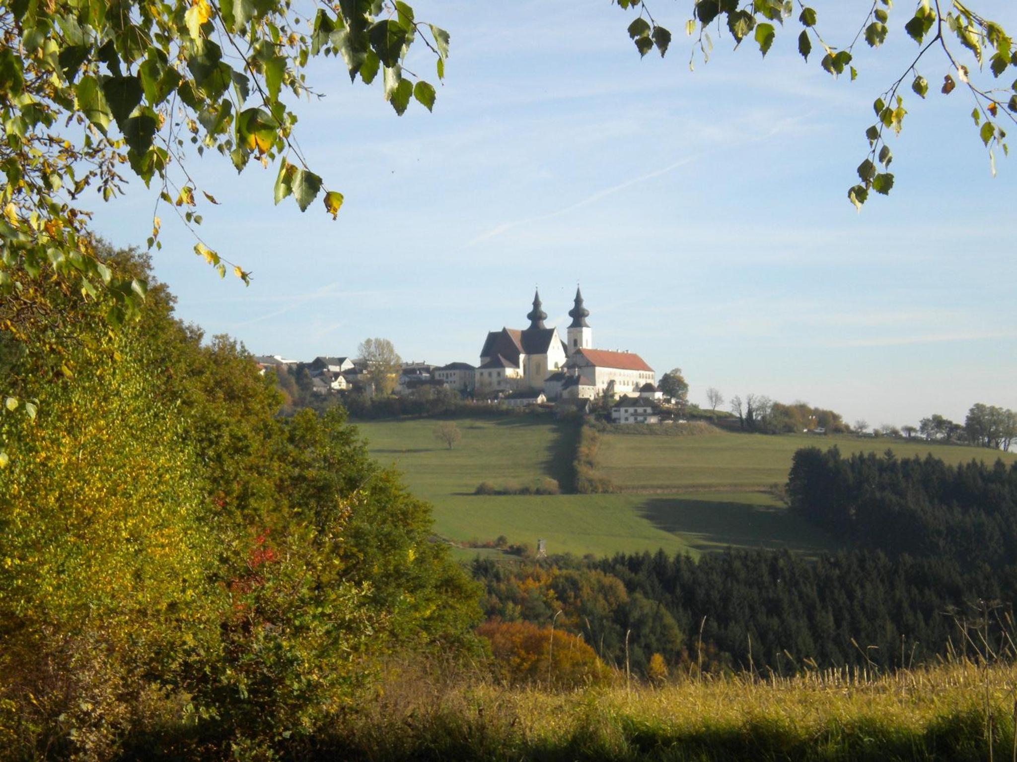 Photo 26