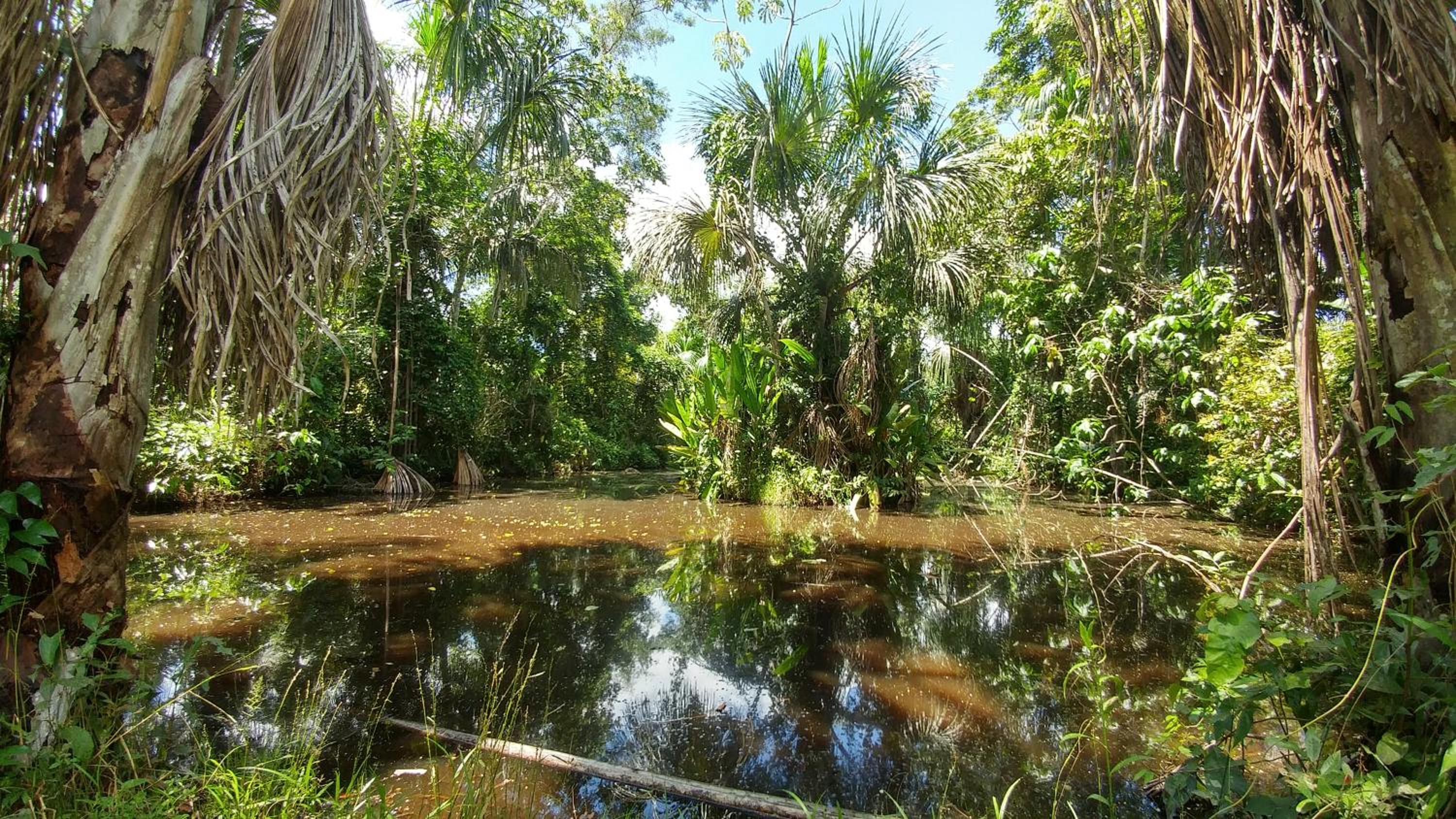 K'erenda Homet Reserva Natural