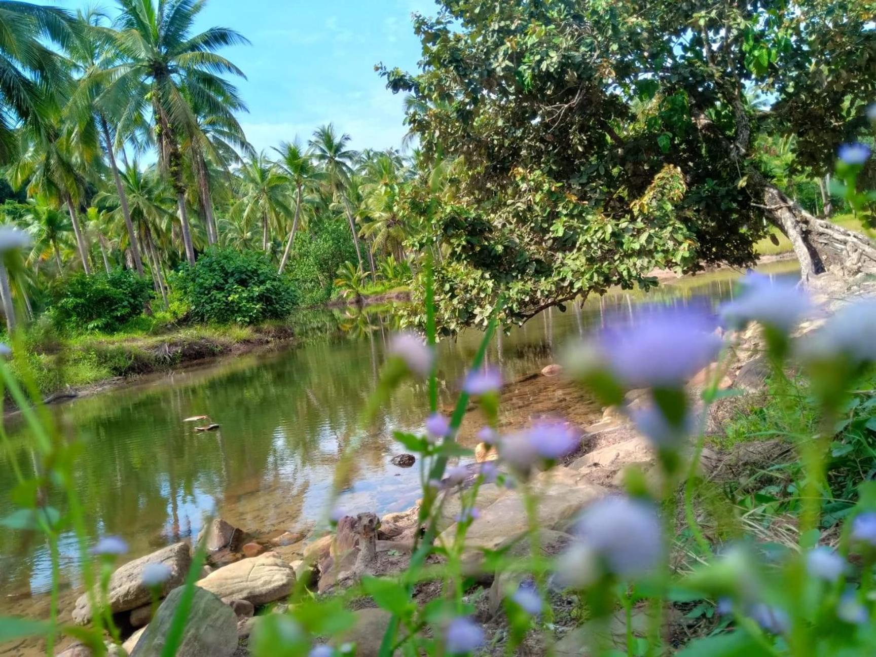 Photo 46