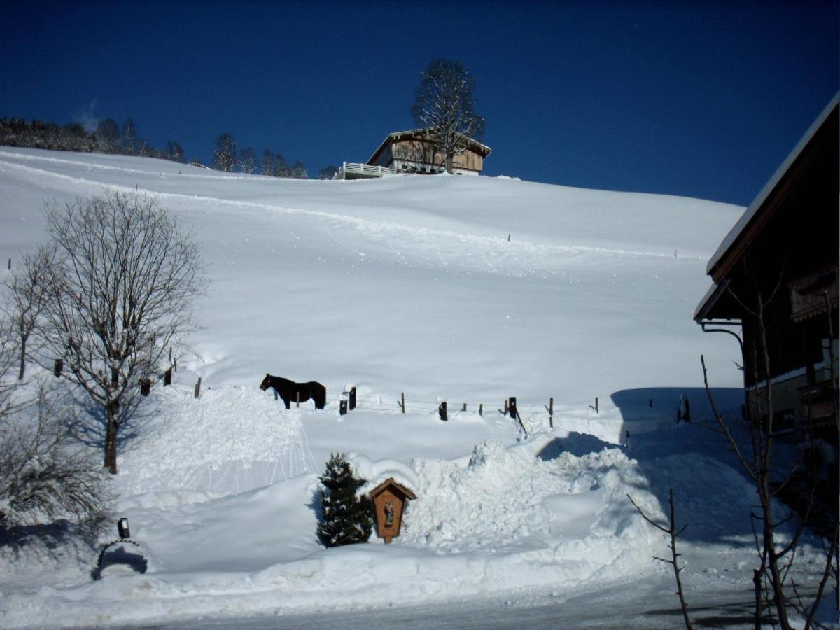 Viehhofbauer