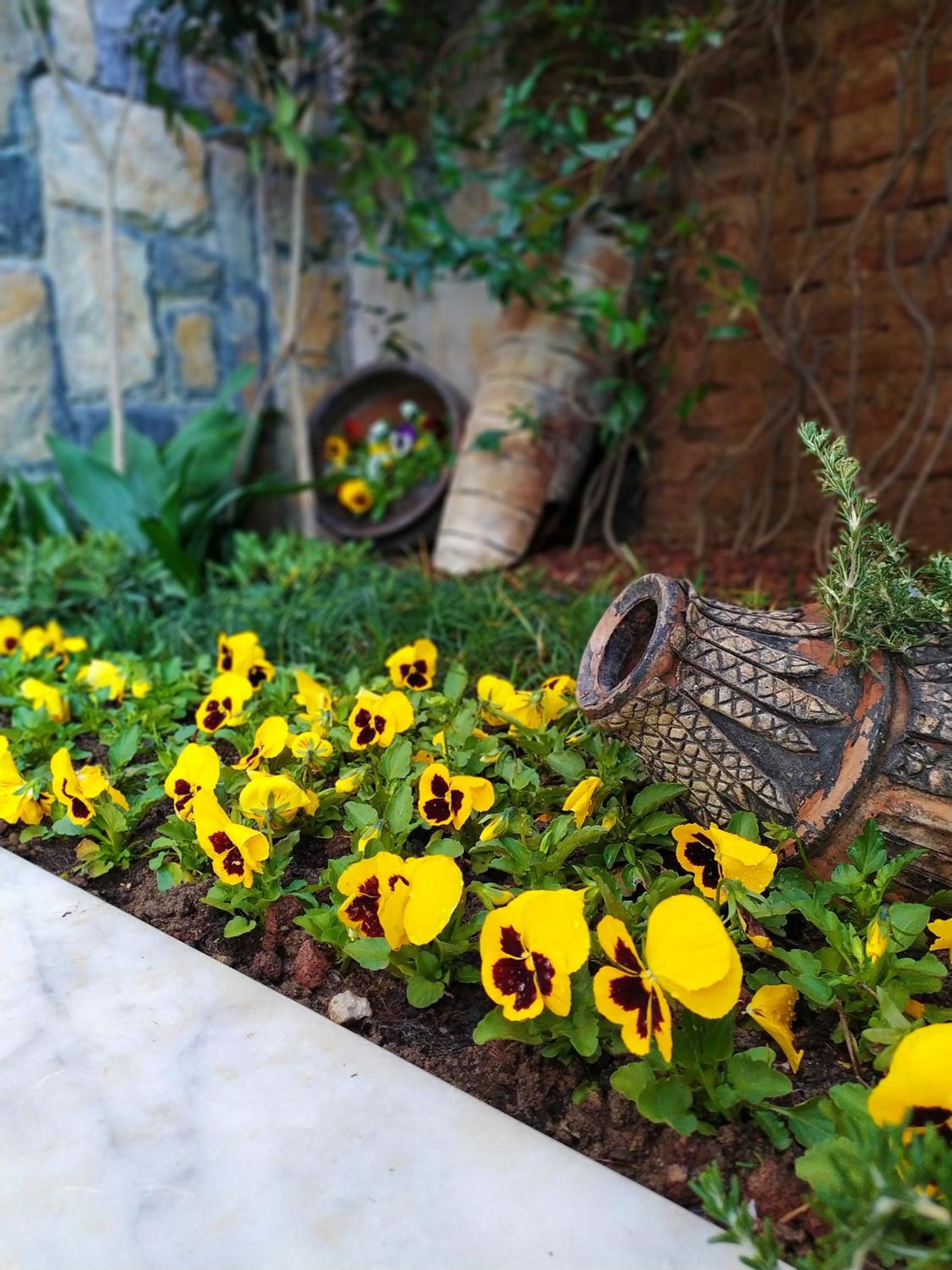 Antea Sarayı Otel & Spa - Image 46