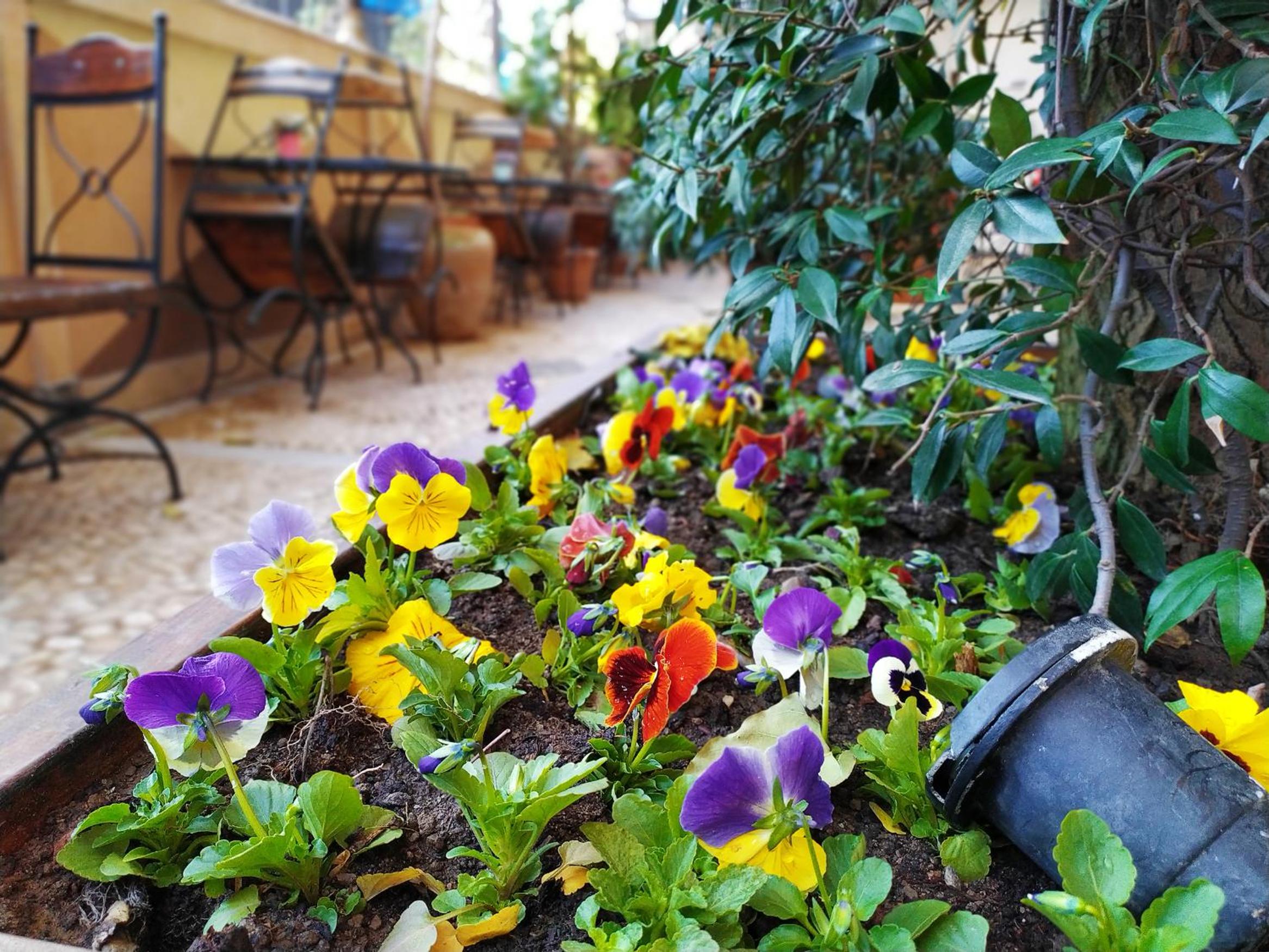 Antea Sarayı Otel & Spa - Image 63