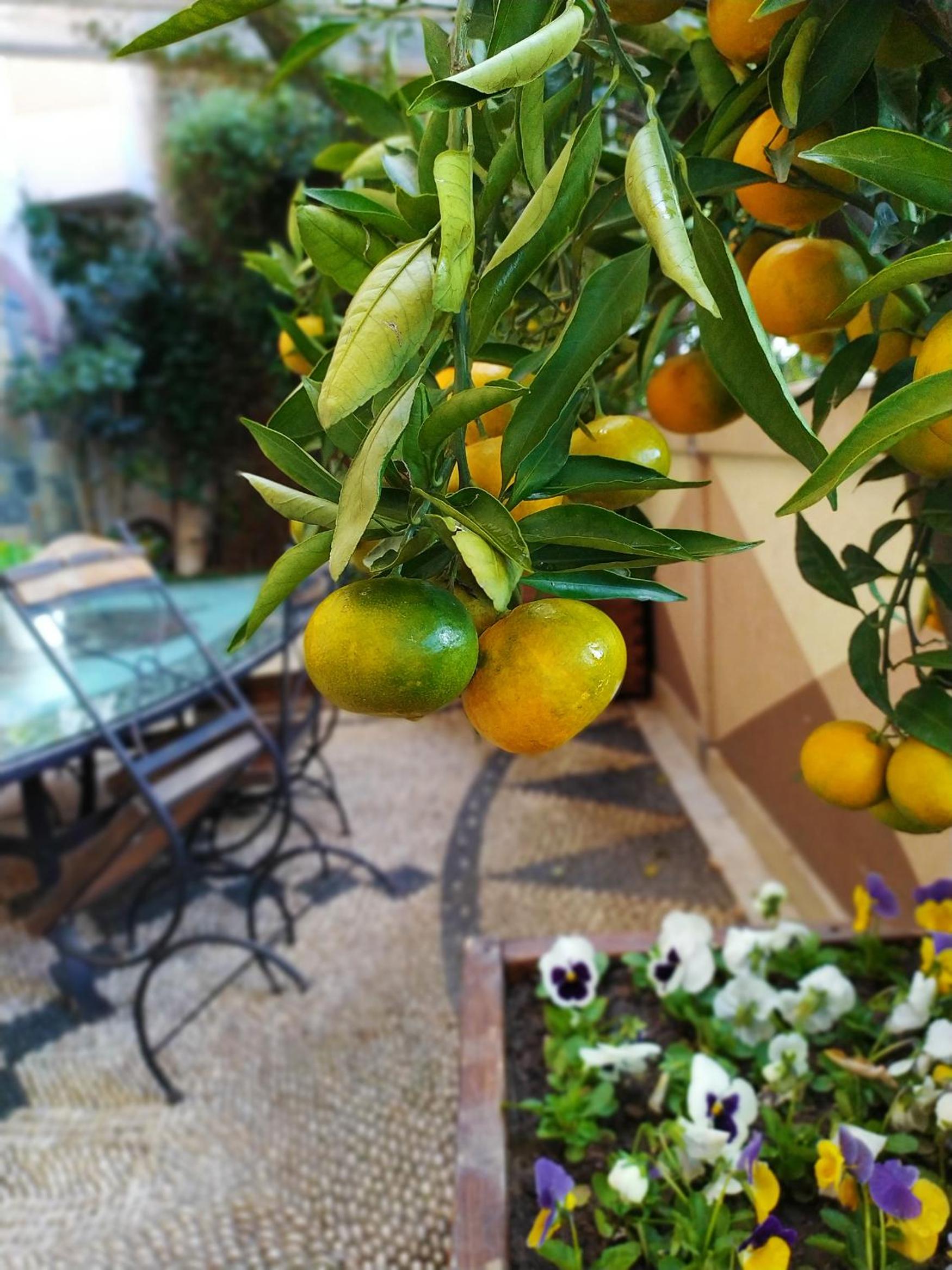 Antea Sarayı Otel & Spa - Image 43