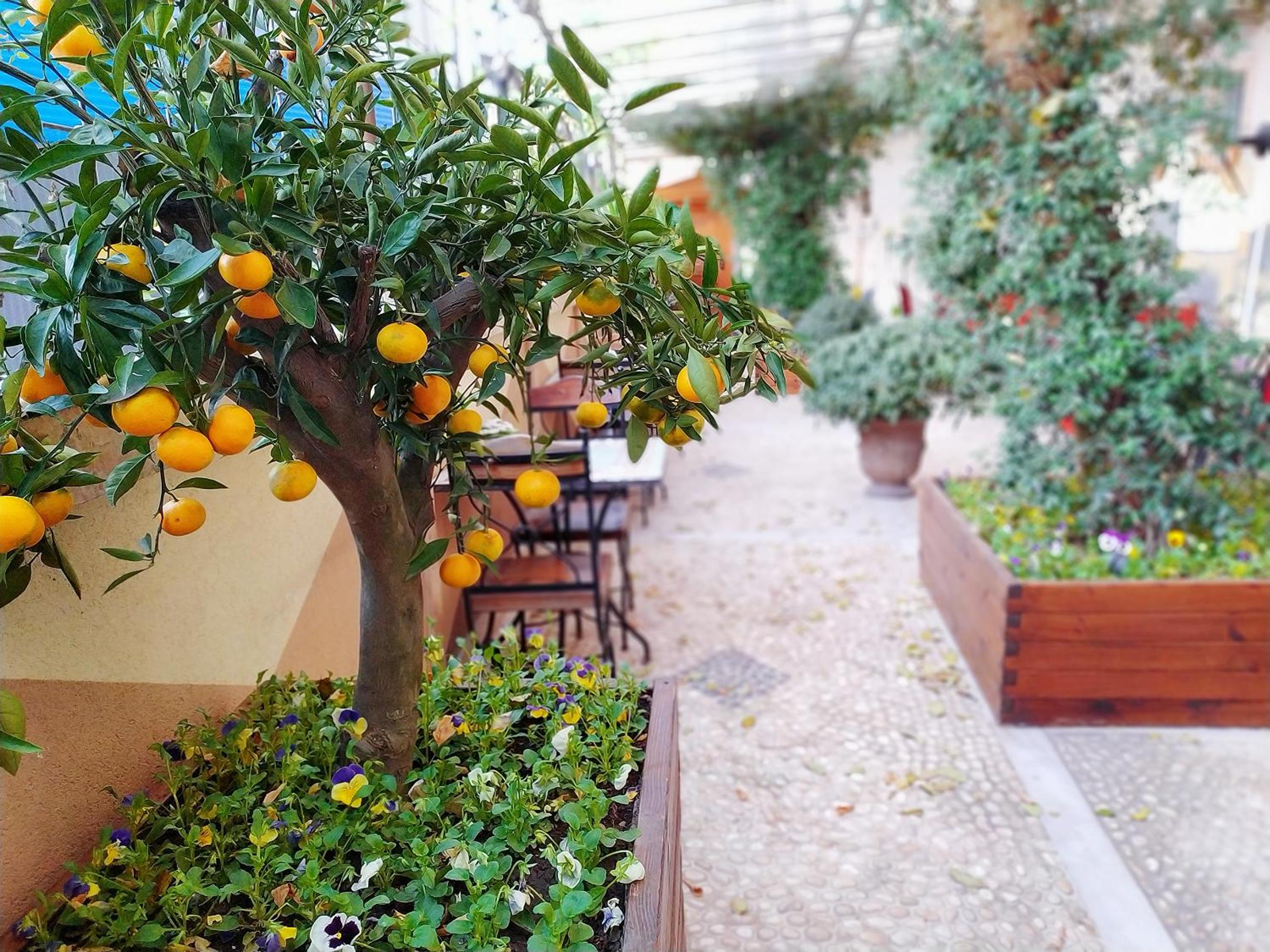 Antea Sarayı Otel & Spa - Image 62